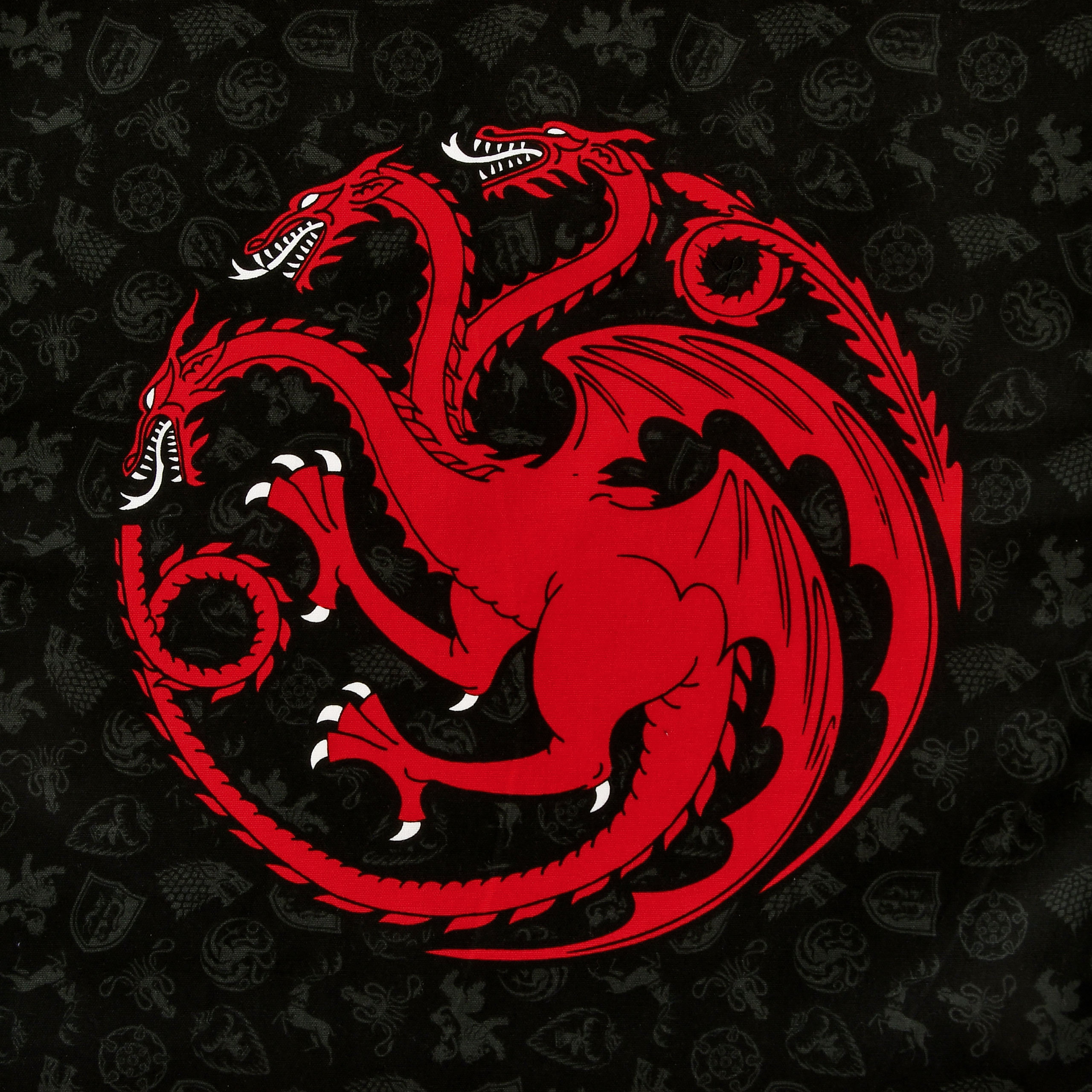 Stark and Targaryen Dish Towels Set - Game of Thrones