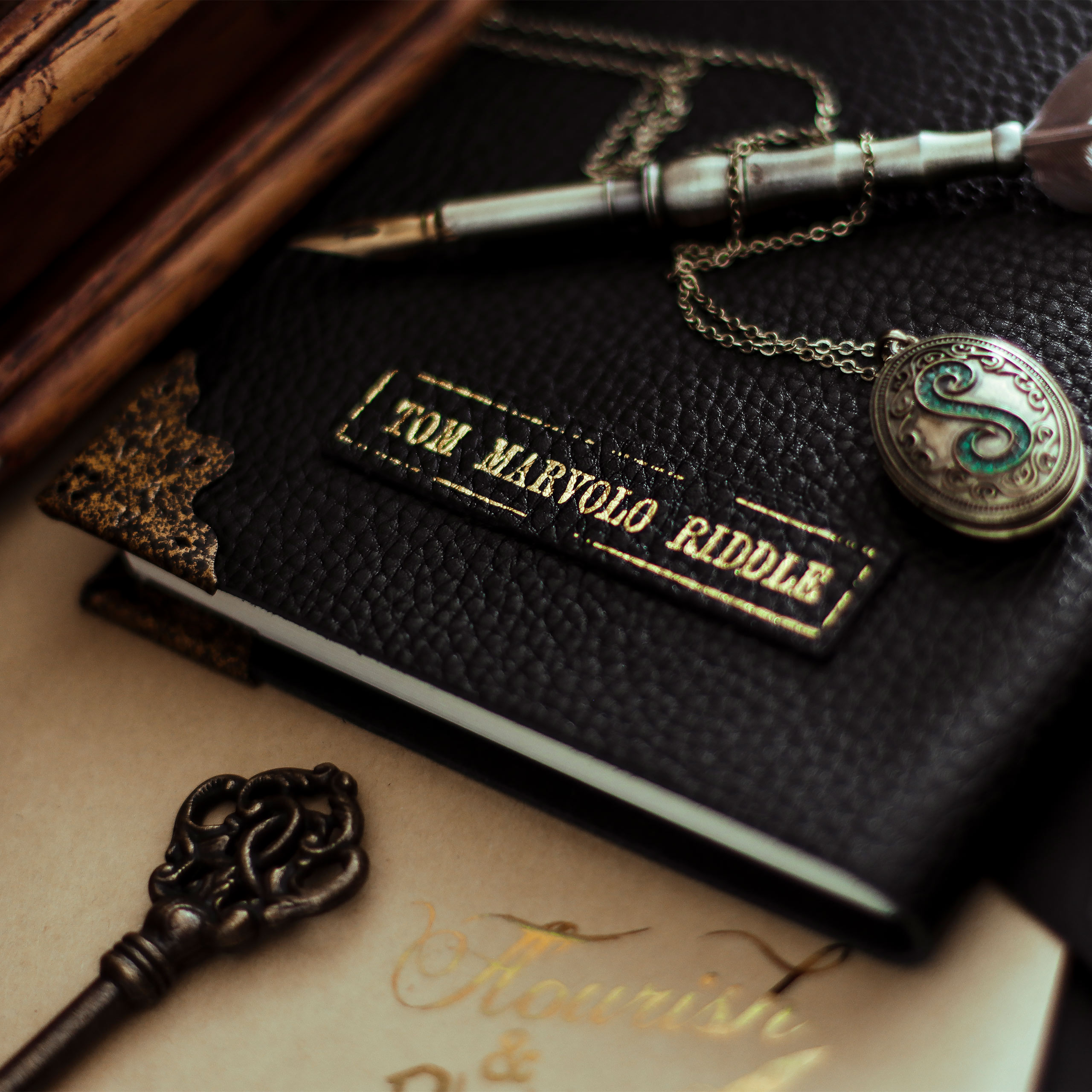 Harry Potter - Het dagboek van Tom Riddle