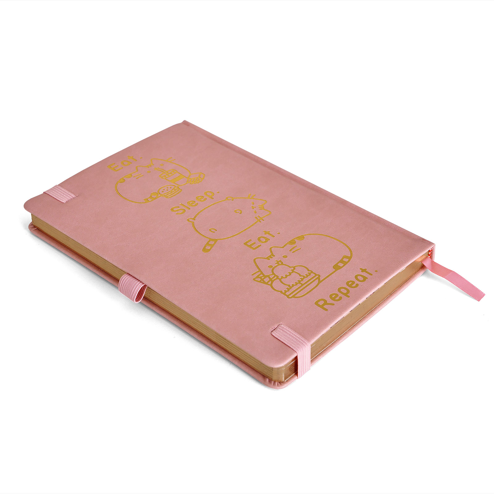 Pusheen - Eat & Sleep Premium Notebook A5