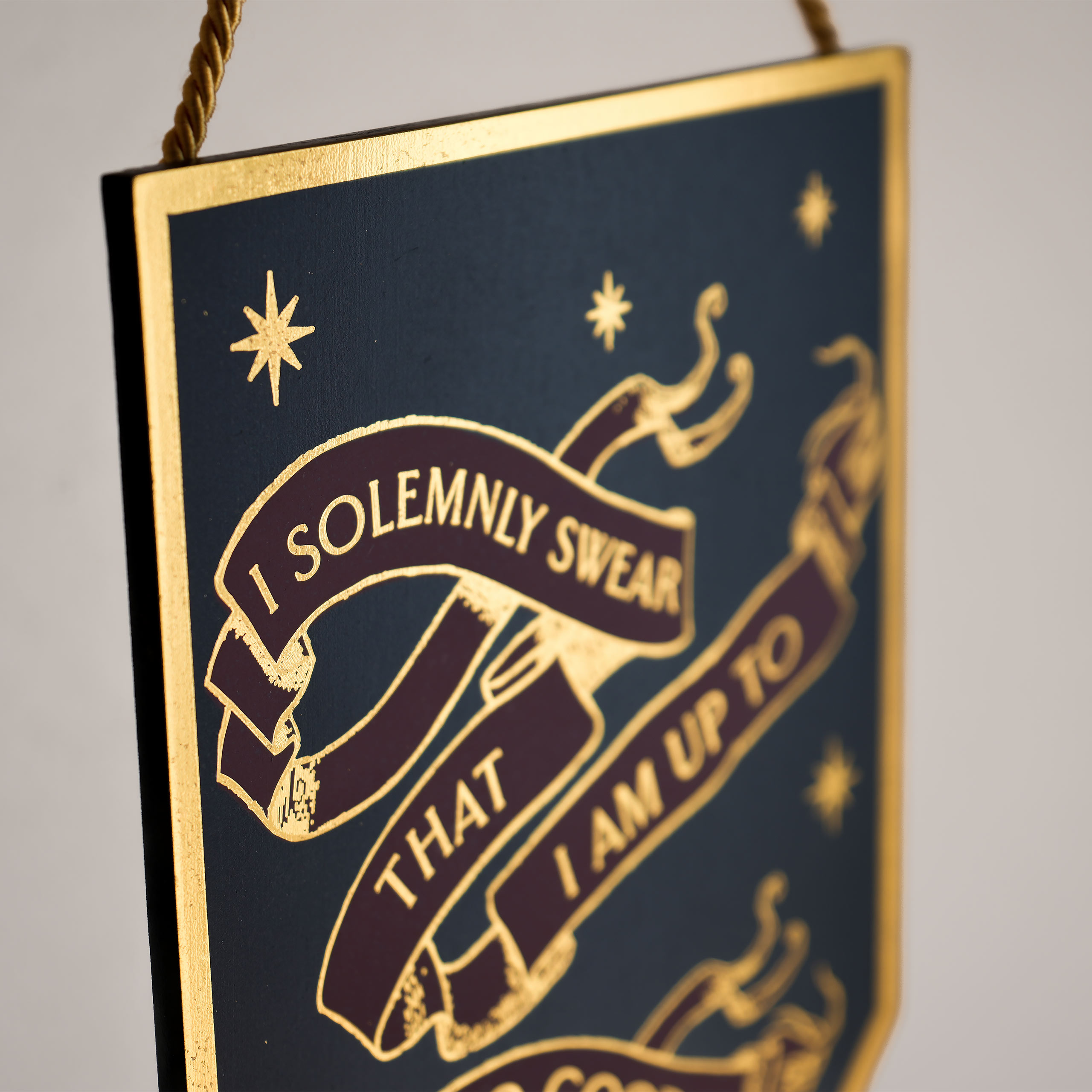 Harry Potter - I Solemnly Swear Alumni Wooden Wall Sign