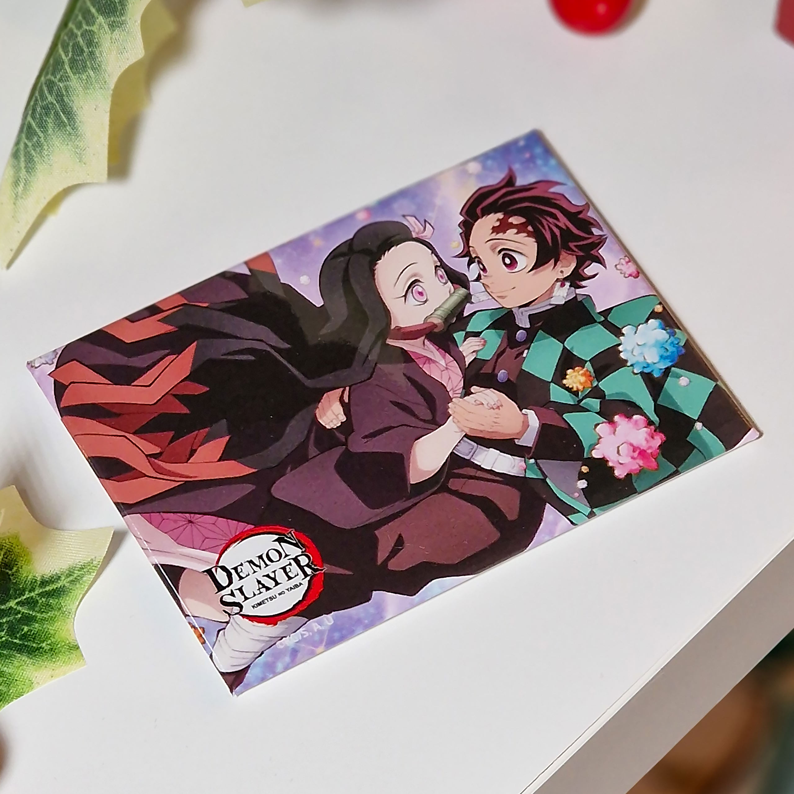 Demon Slayer - Tanjiro & Nezuko Magnet