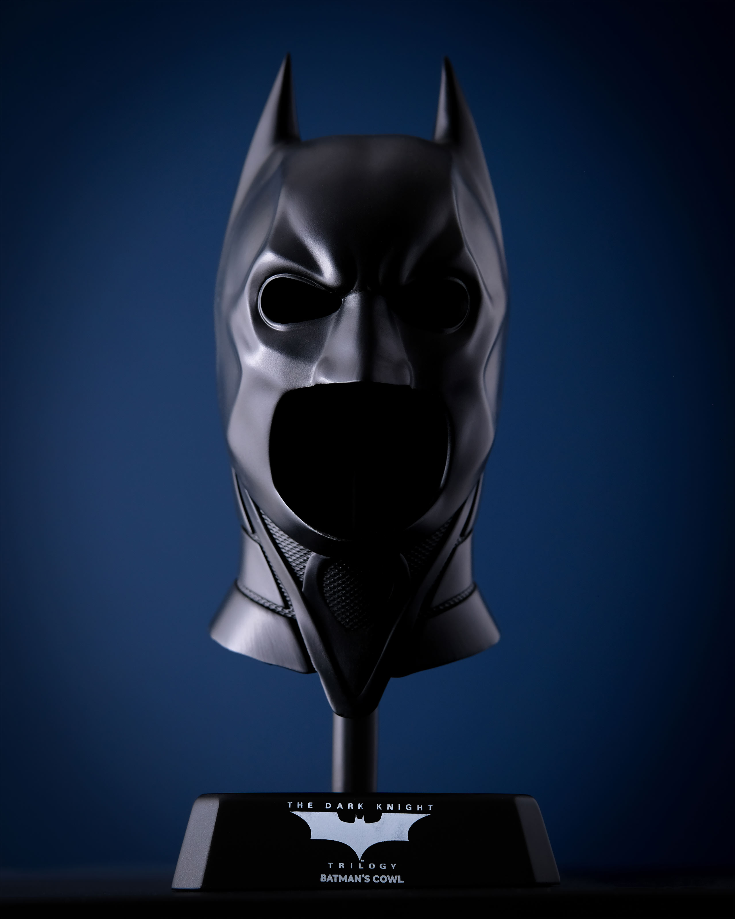 Batman - The Dark Knight Mask Collector's Figure