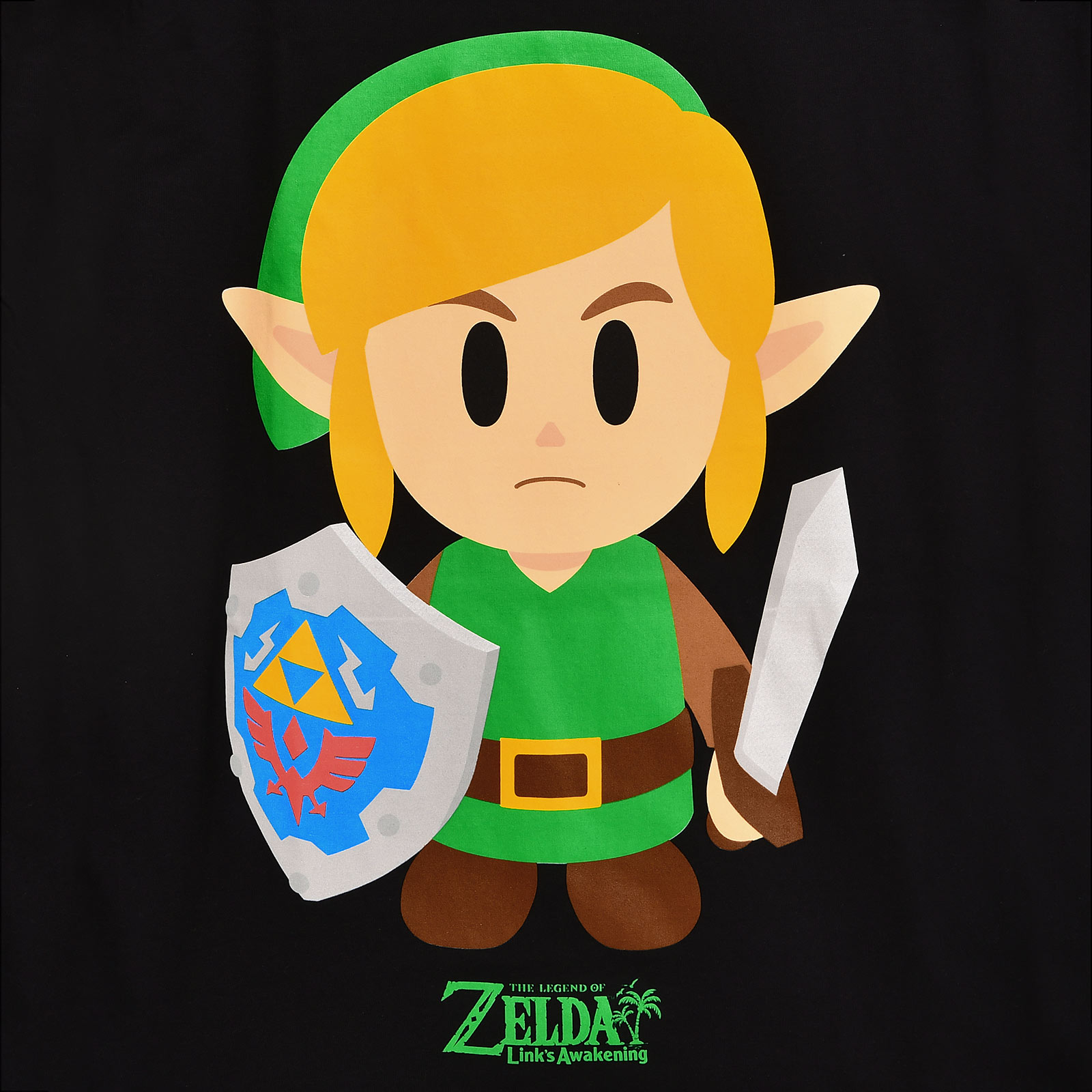 Zelda - Link's Awakening T-Shirt schwarz