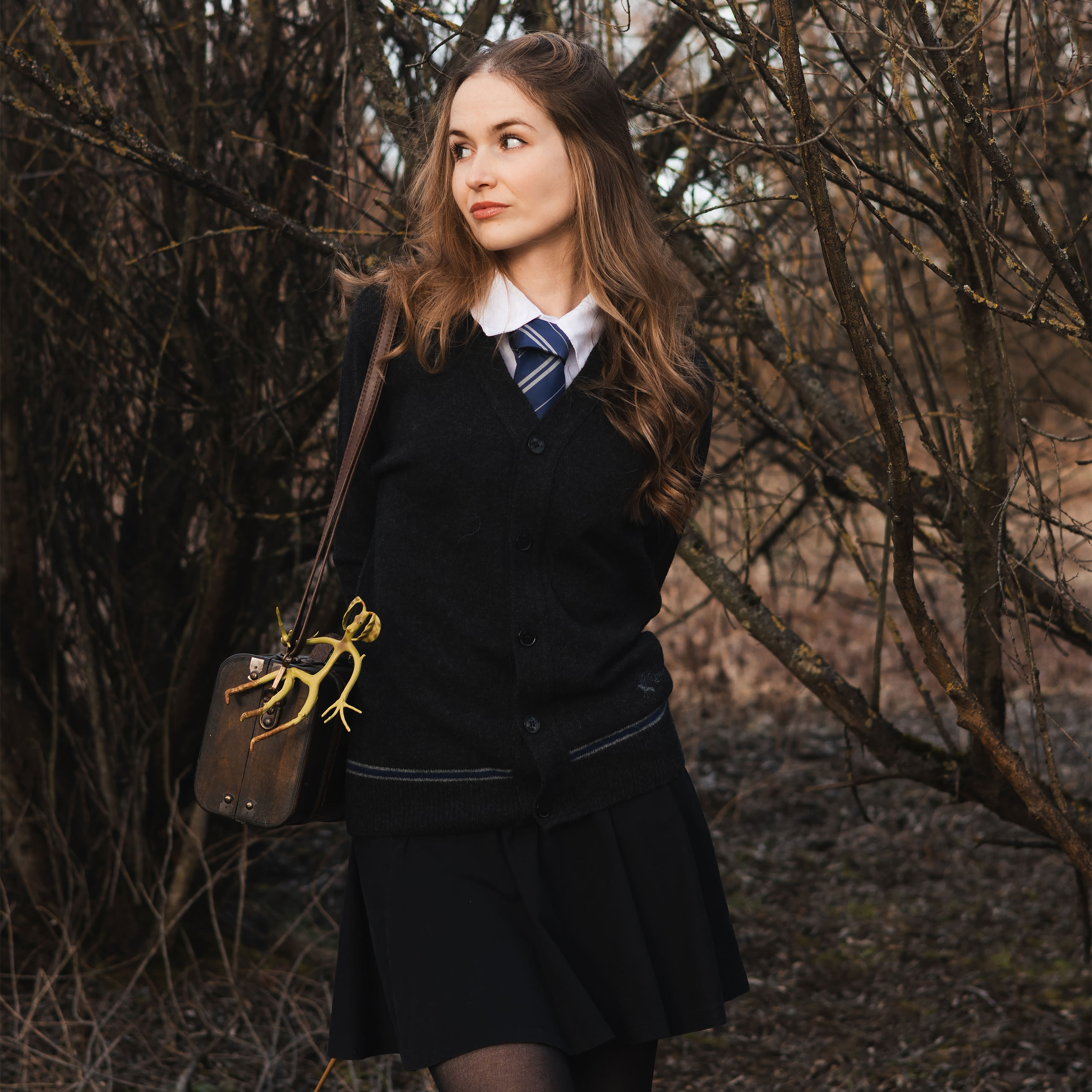 Harry Potter - Ravenclaw Cardigan