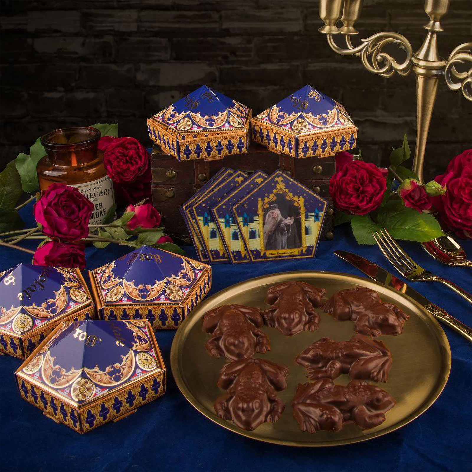 Chocolade Kikker Praline Vorm Set met Verzamelkaarten - Harry Potter