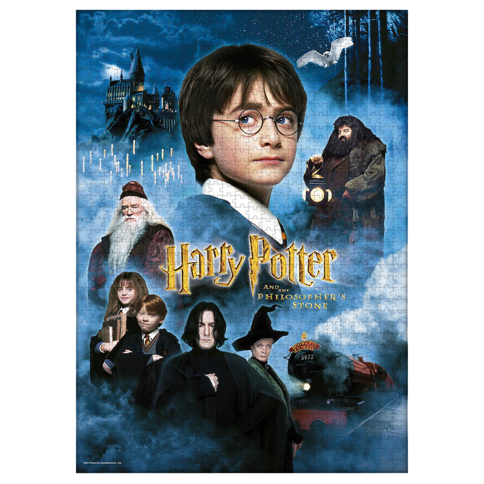 Harry Potter - The Philosopher's Stone Puzzle