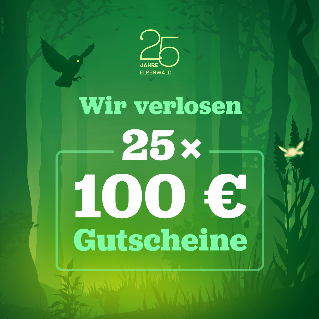 25 Jahre Elbenwald - Wir verlosen 25×100 € Gutscheine