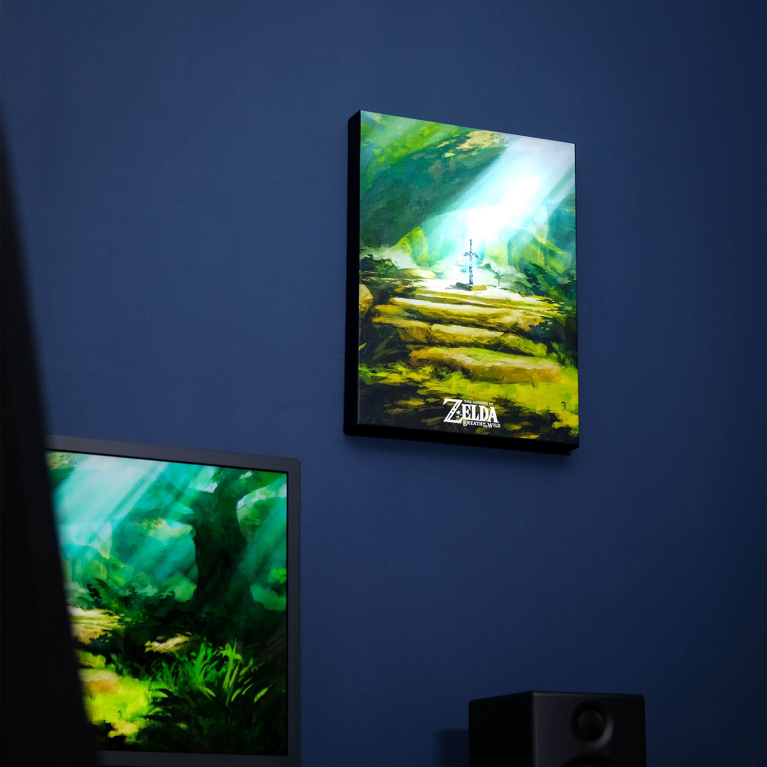 Zelda - Masterschwert Wandbild mit Licht