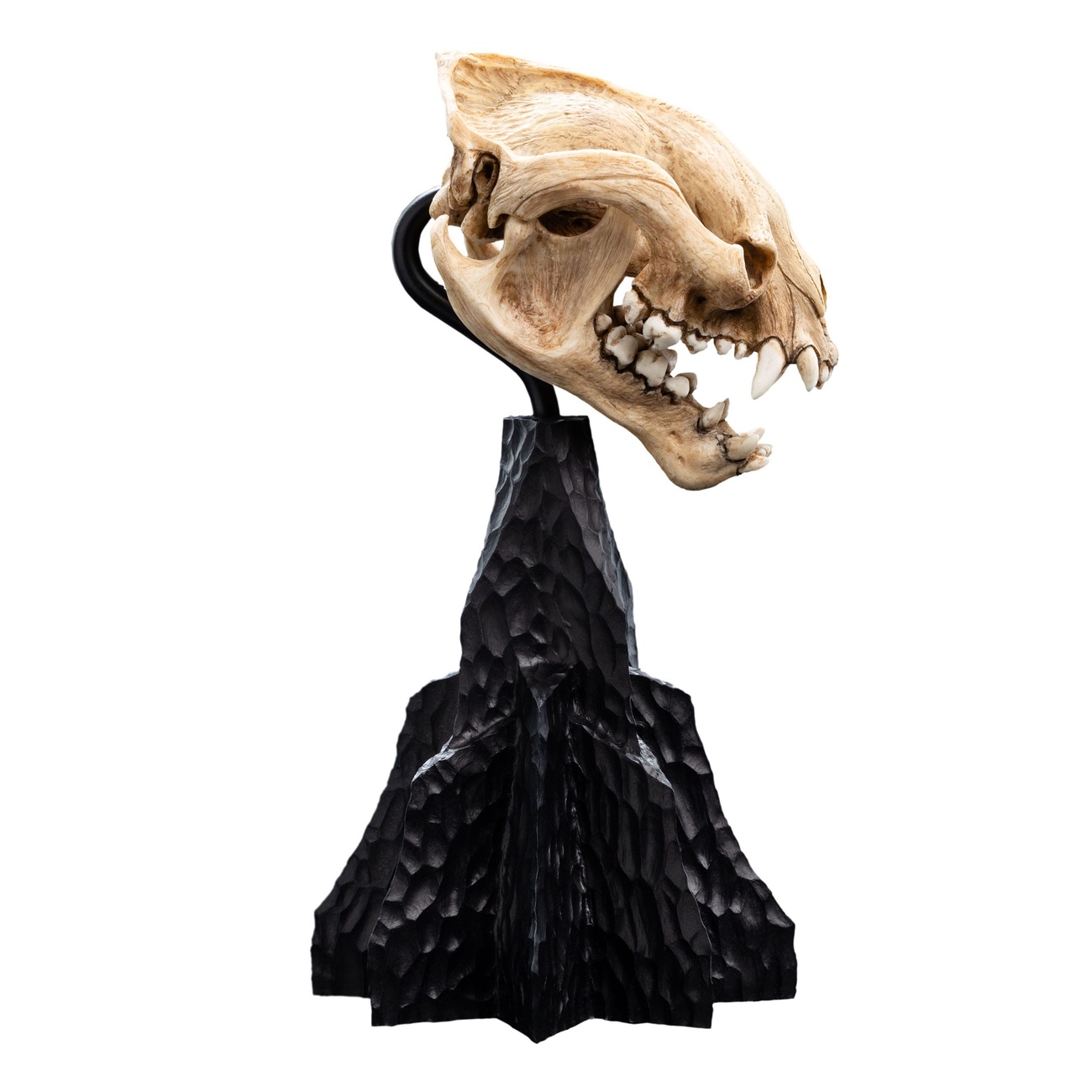 Herr der Ringe Mini Statue Skull of a Warg 20 cm