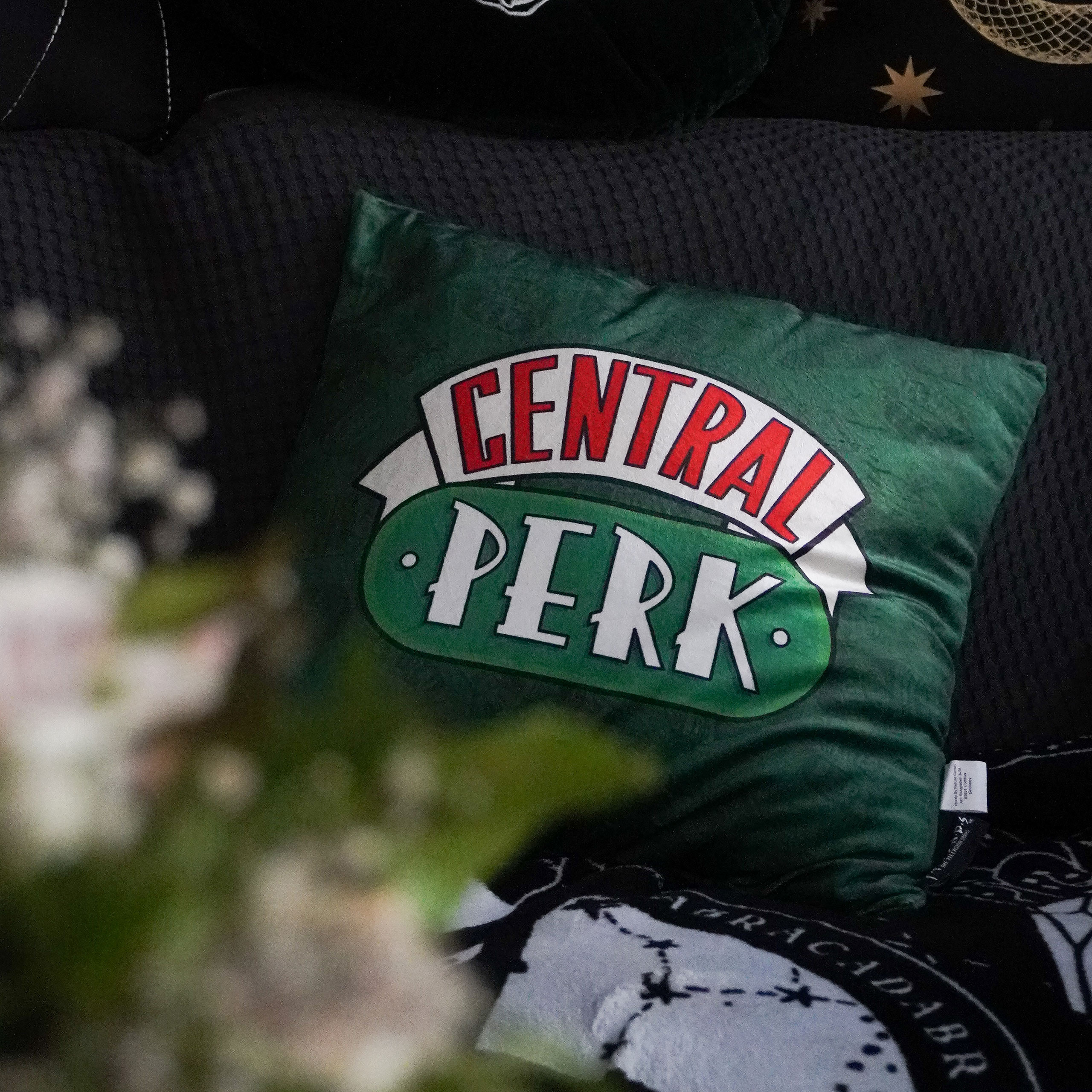 Friends - Central Perk Pillow Green