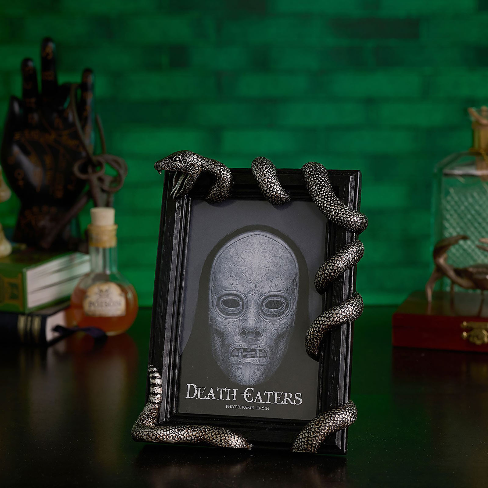 Harry Potter - Nagini Picture Frame