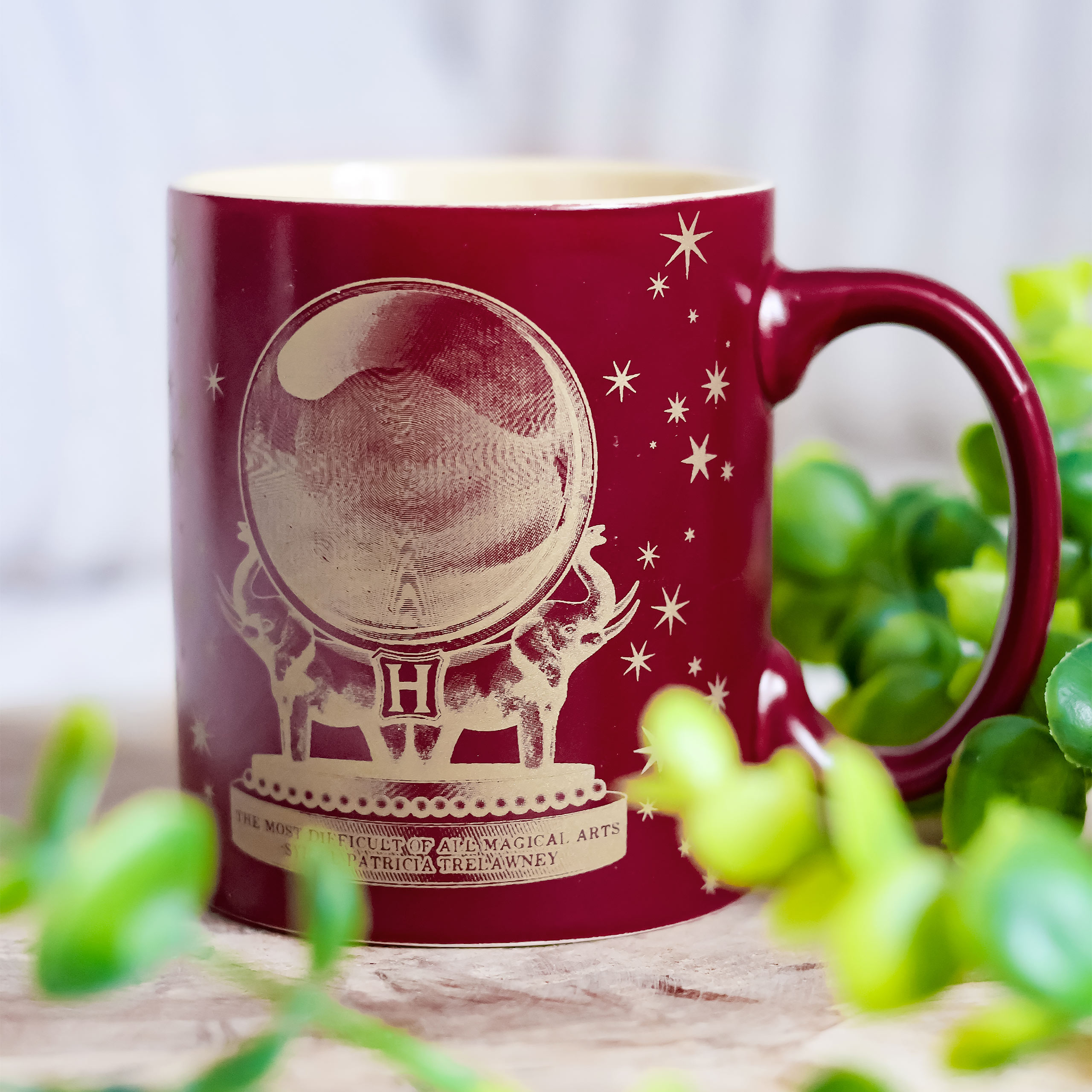 Harry Potter - Wahrsagen Tasse