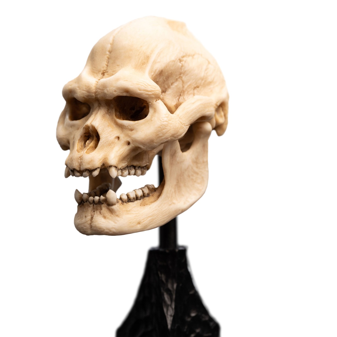 Le Seigneur des Anneaux - Mini statuette Crâne de Lurtz