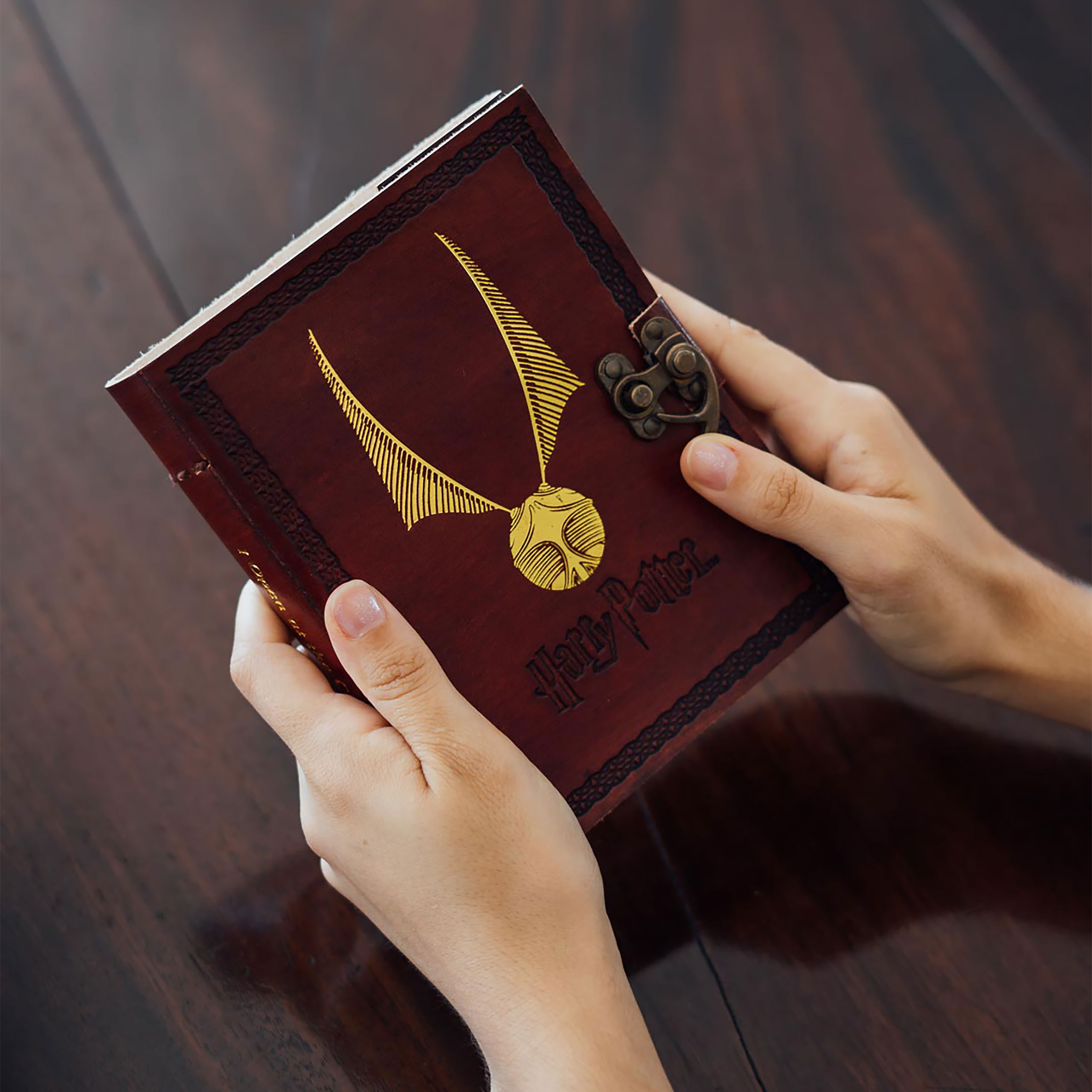 Harry Potter - Le Carnet de notes Vif d'or