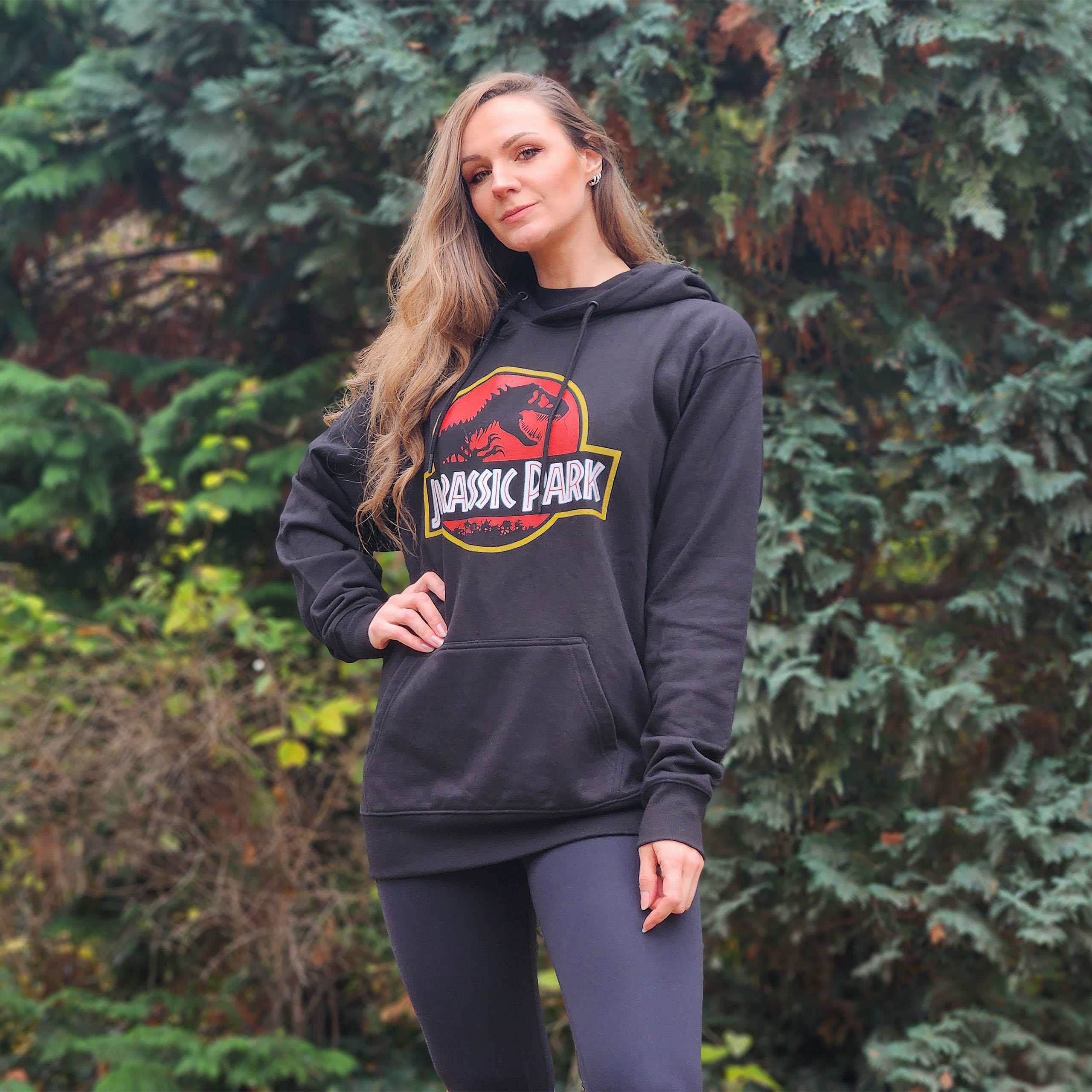 Jurassic Park - Movie Logo Hoodie schwarz