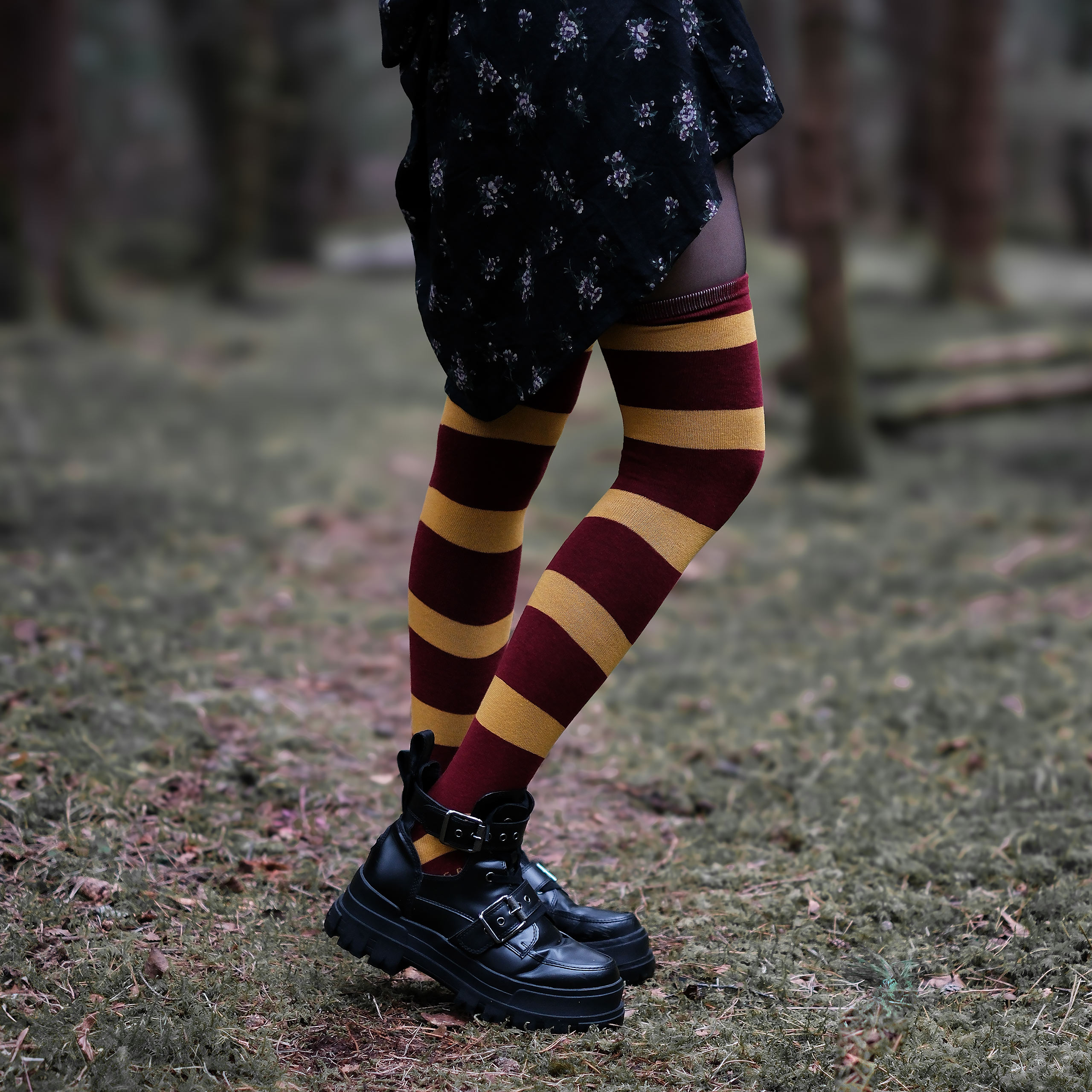 Harry Potter - Gryffindor Overknee Sokken 2-Pack