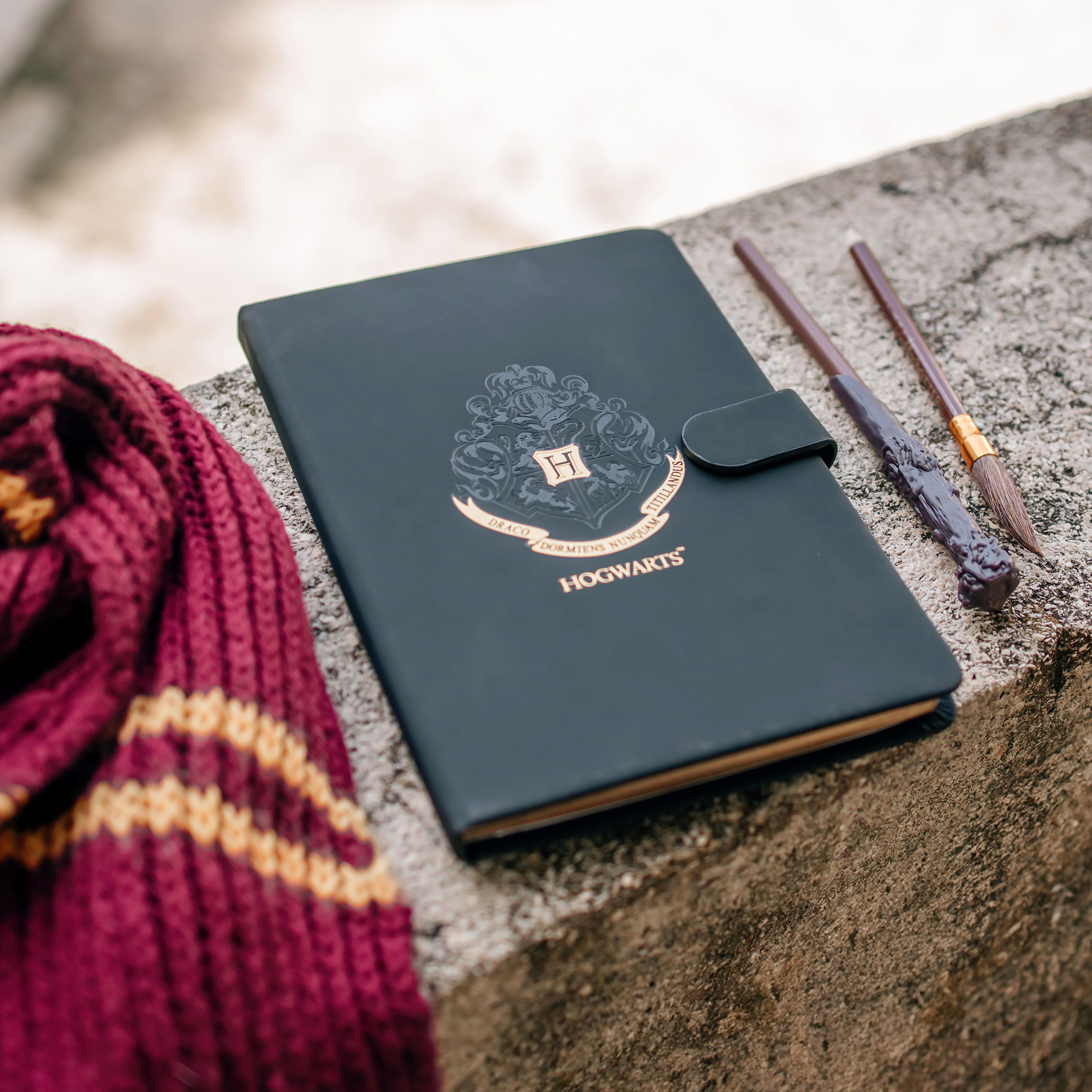 Harry Potter - Ensemble de journal avec blason de Poudlard