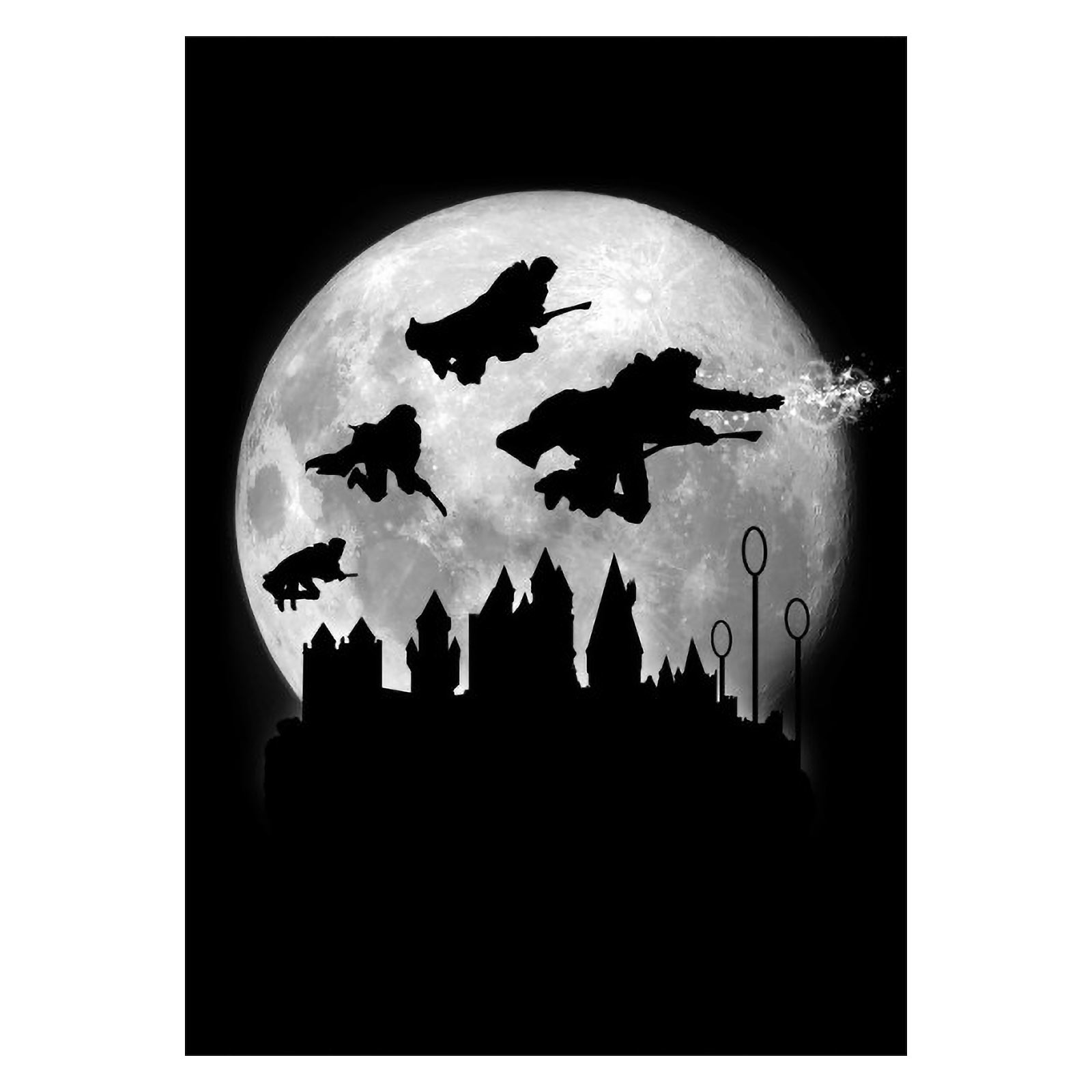 Magic Flight at Night Metalen Poster voor Harry Potter Fans