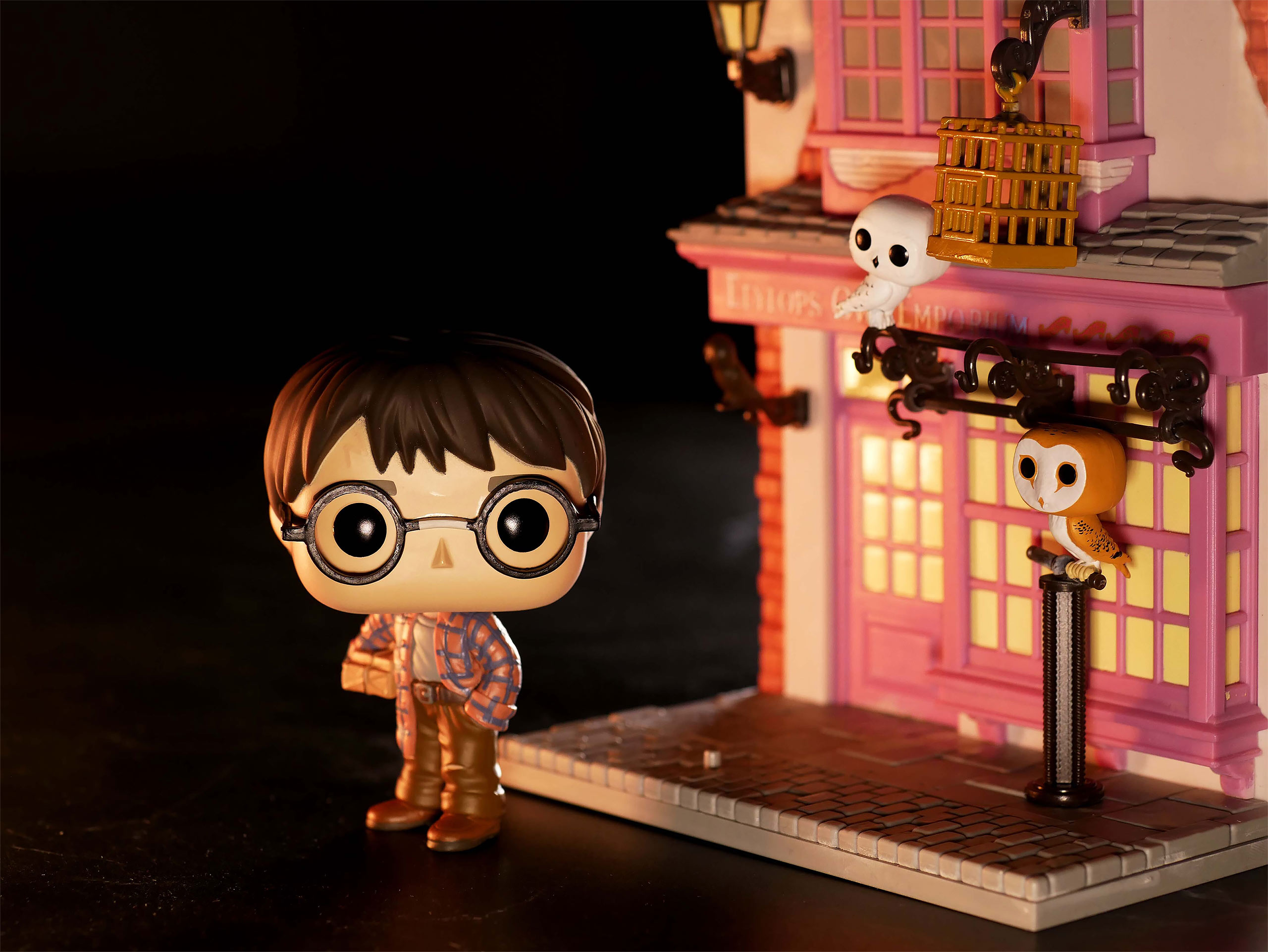 Harry Potter en Eeylops Uil Winkel Funko Pop Figurine met Diorama
