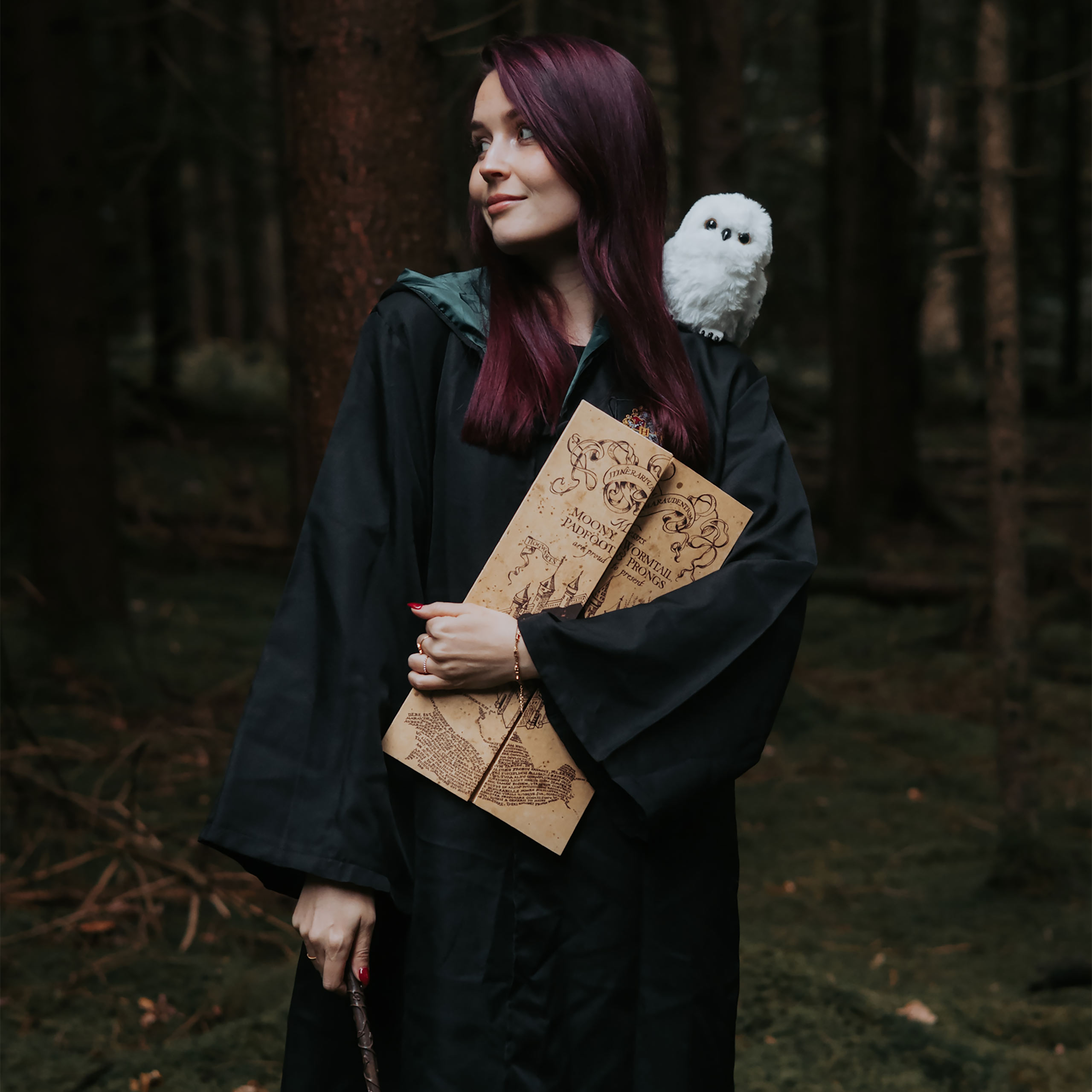 Mappa del Malandrino - Harry Potter