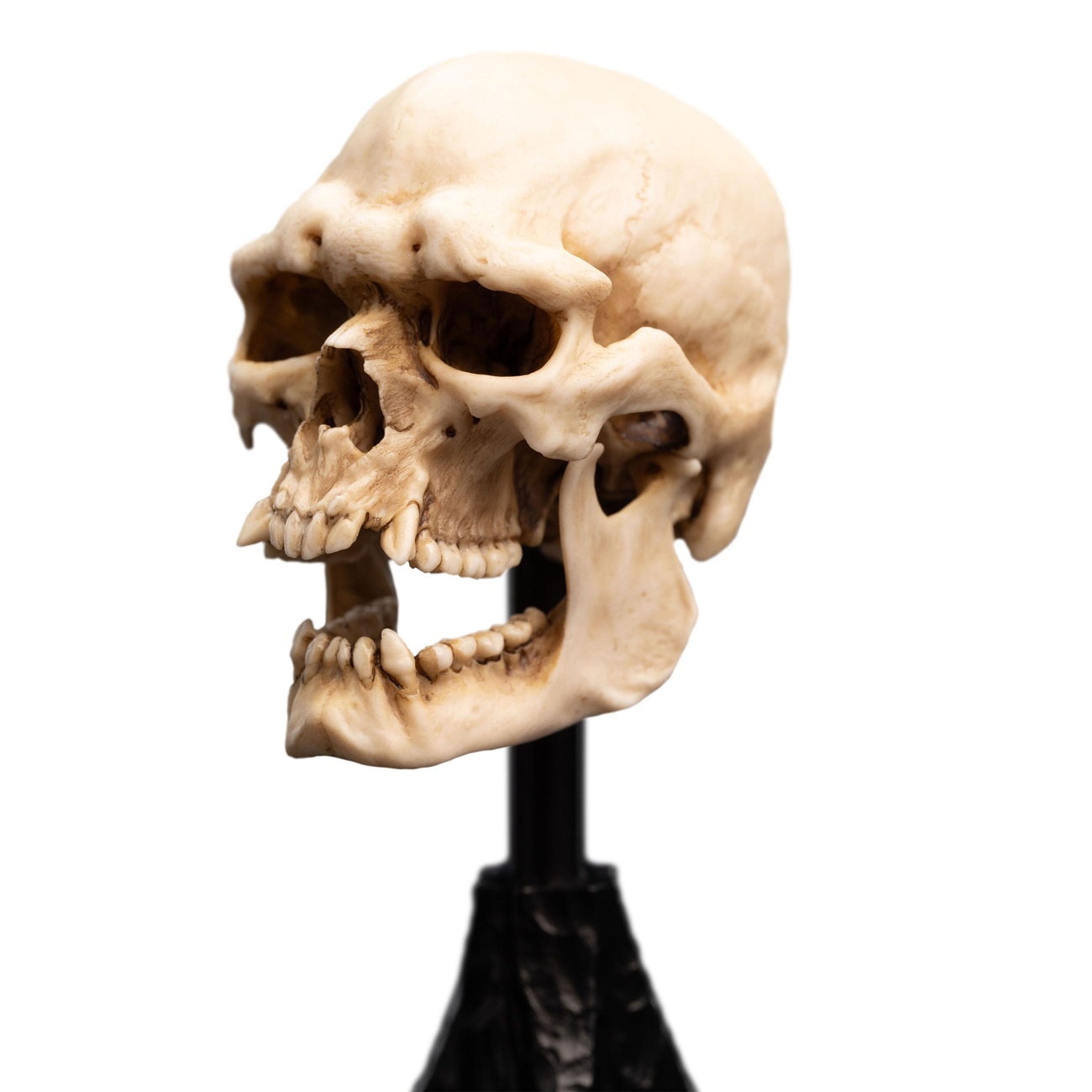 Sagan om Ringen - Skalle av en Mordor-Orch Mini Staty