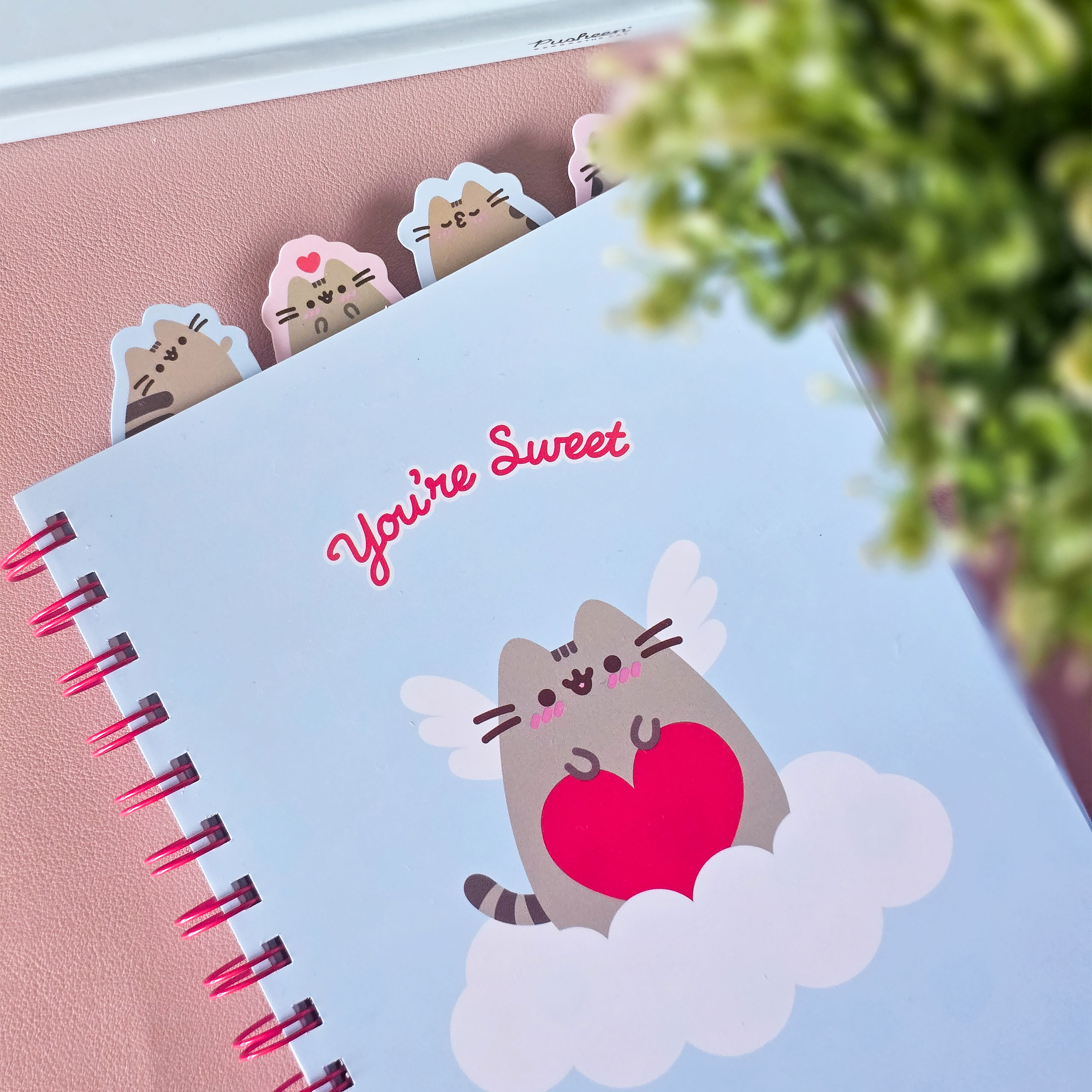 Pusheen - You're Sweet Carnet Spirale
