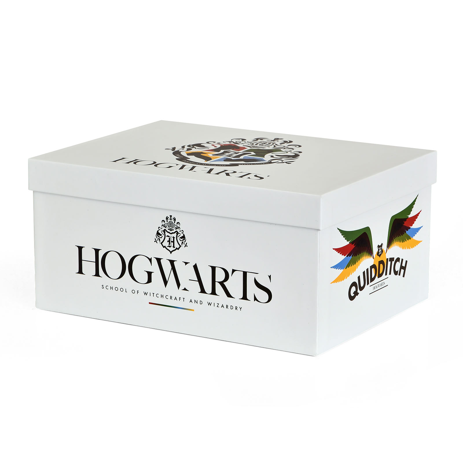 Harry Potter - Hogwarts Quidditch Gift Set