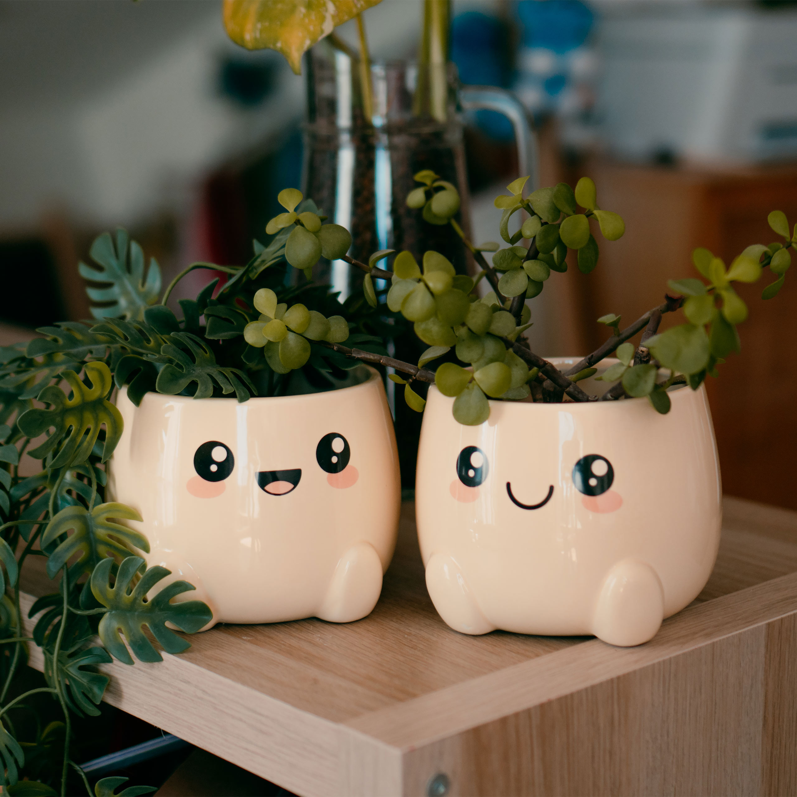 Chibi Chow Blumentöpfe 2er Set