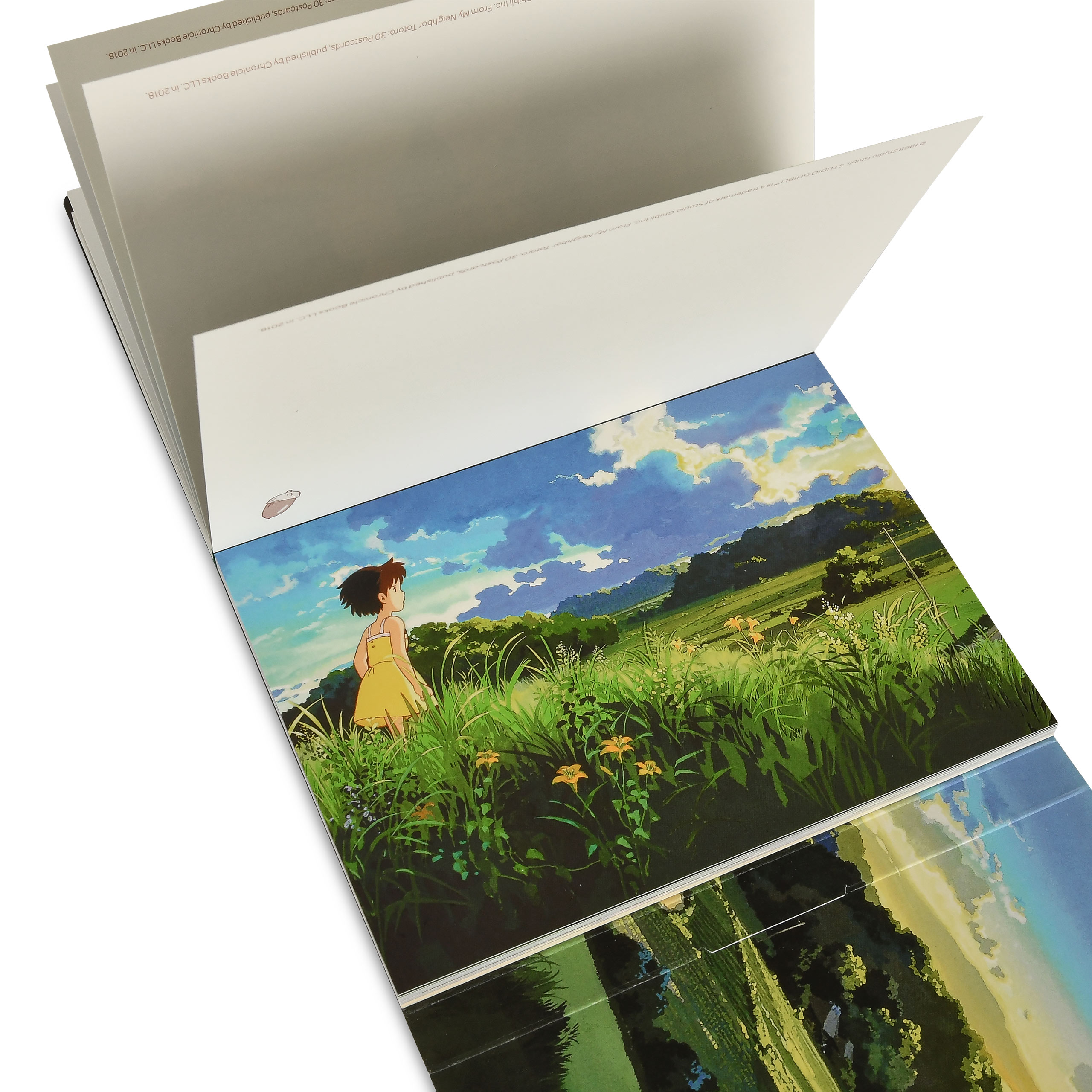 Totoro - Set de 30 postales