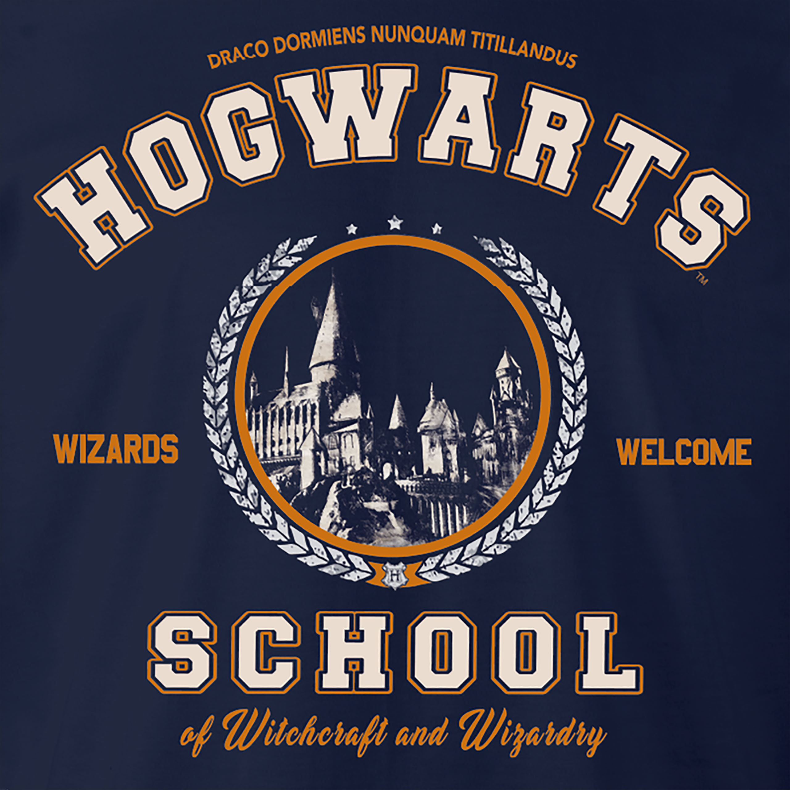 Harry Potter - Hogwarts School T-Shirt blue