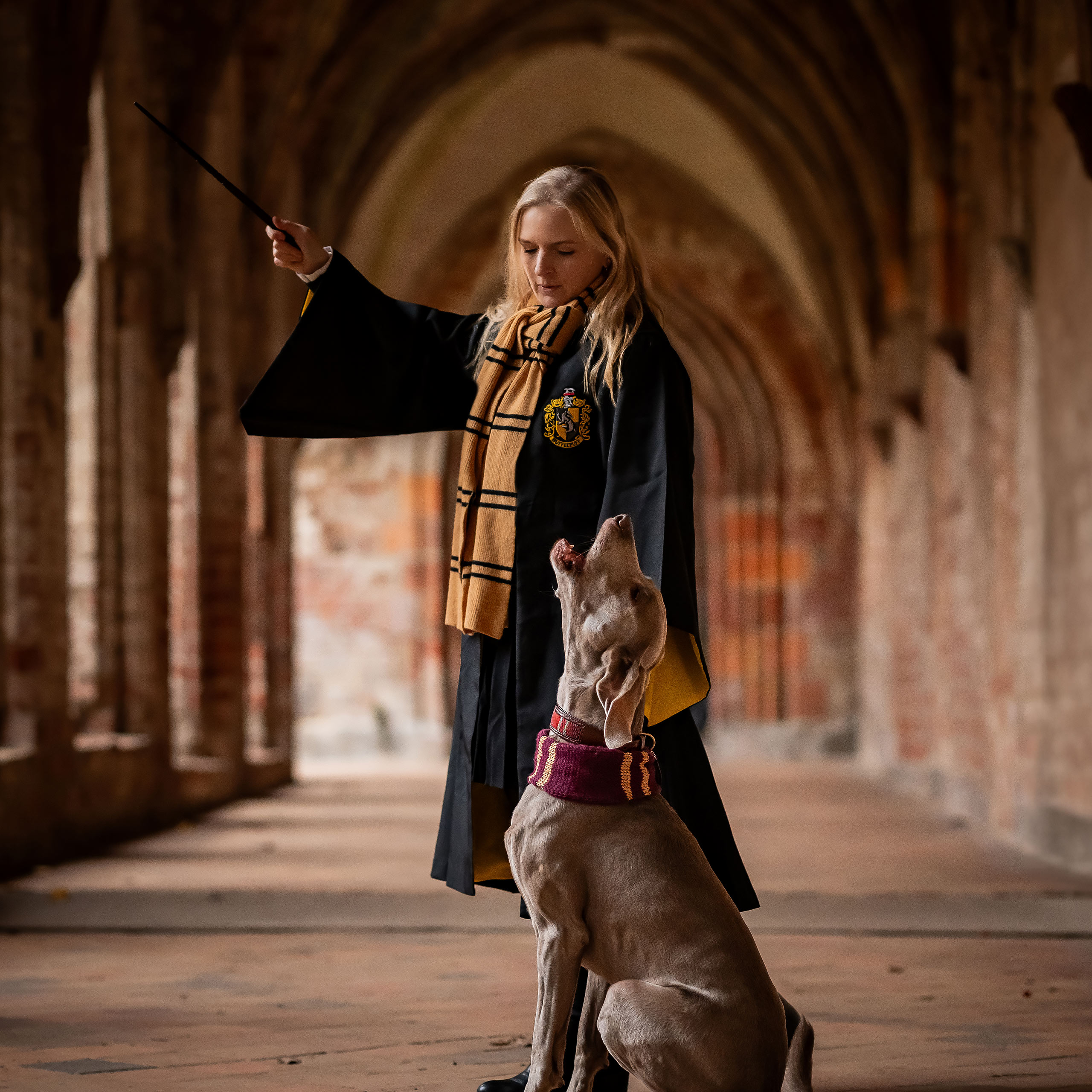 Harry Potter - Original Hufflepuff Wool Scarf