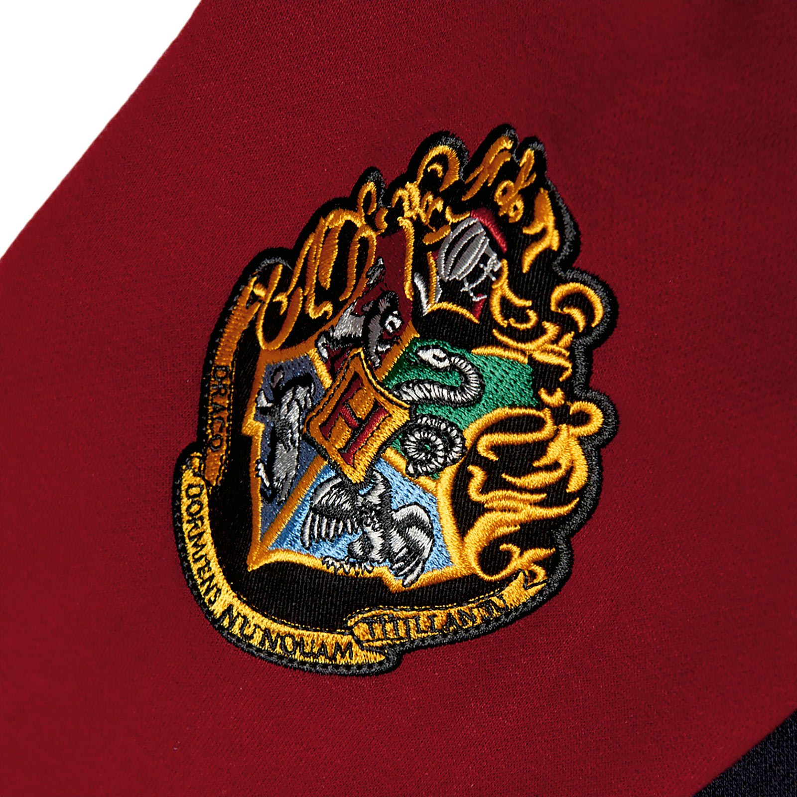 Harry Potter - Trotse Gryffindor Hoodie