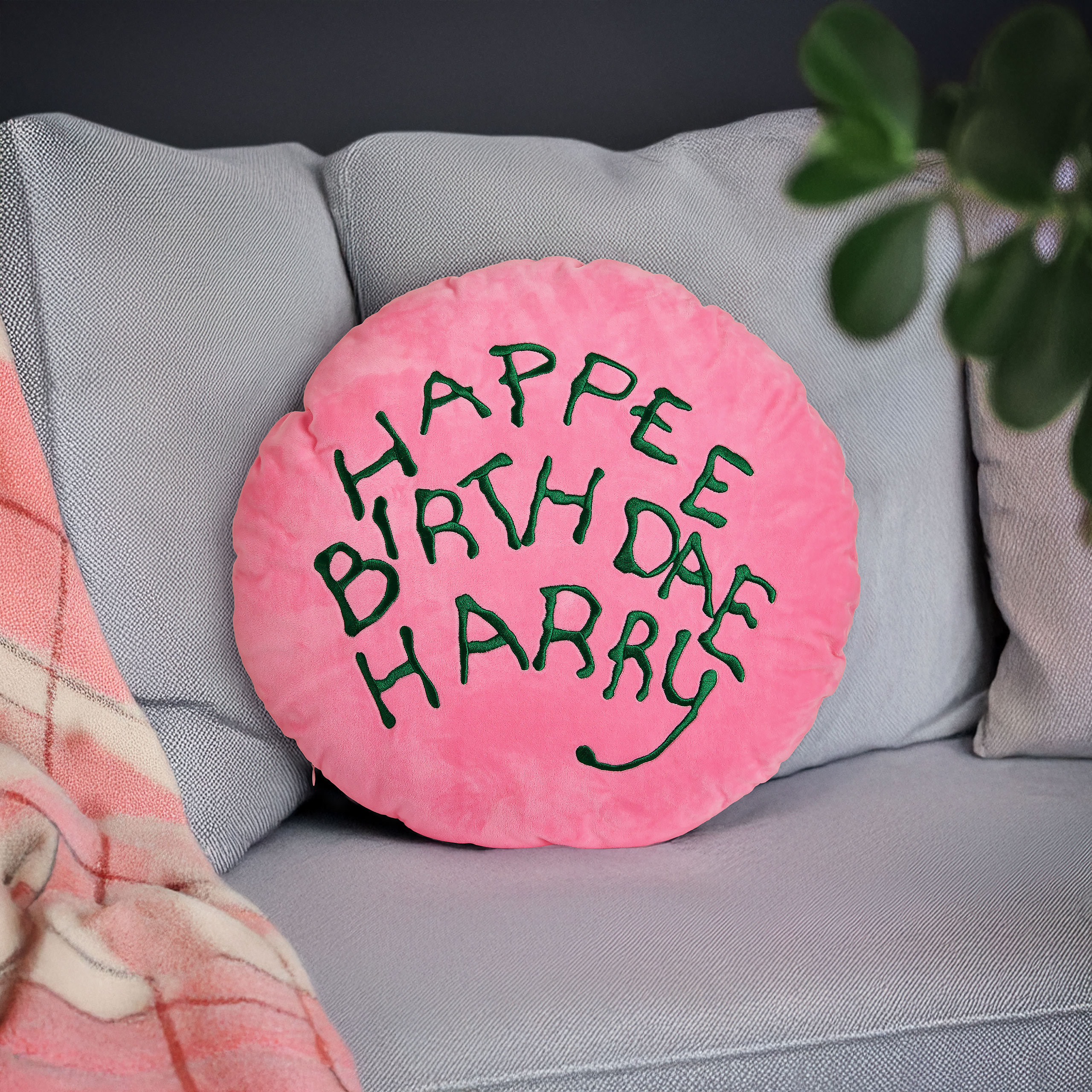 Harry Potter - Cuscino Happee Birthdae Harry