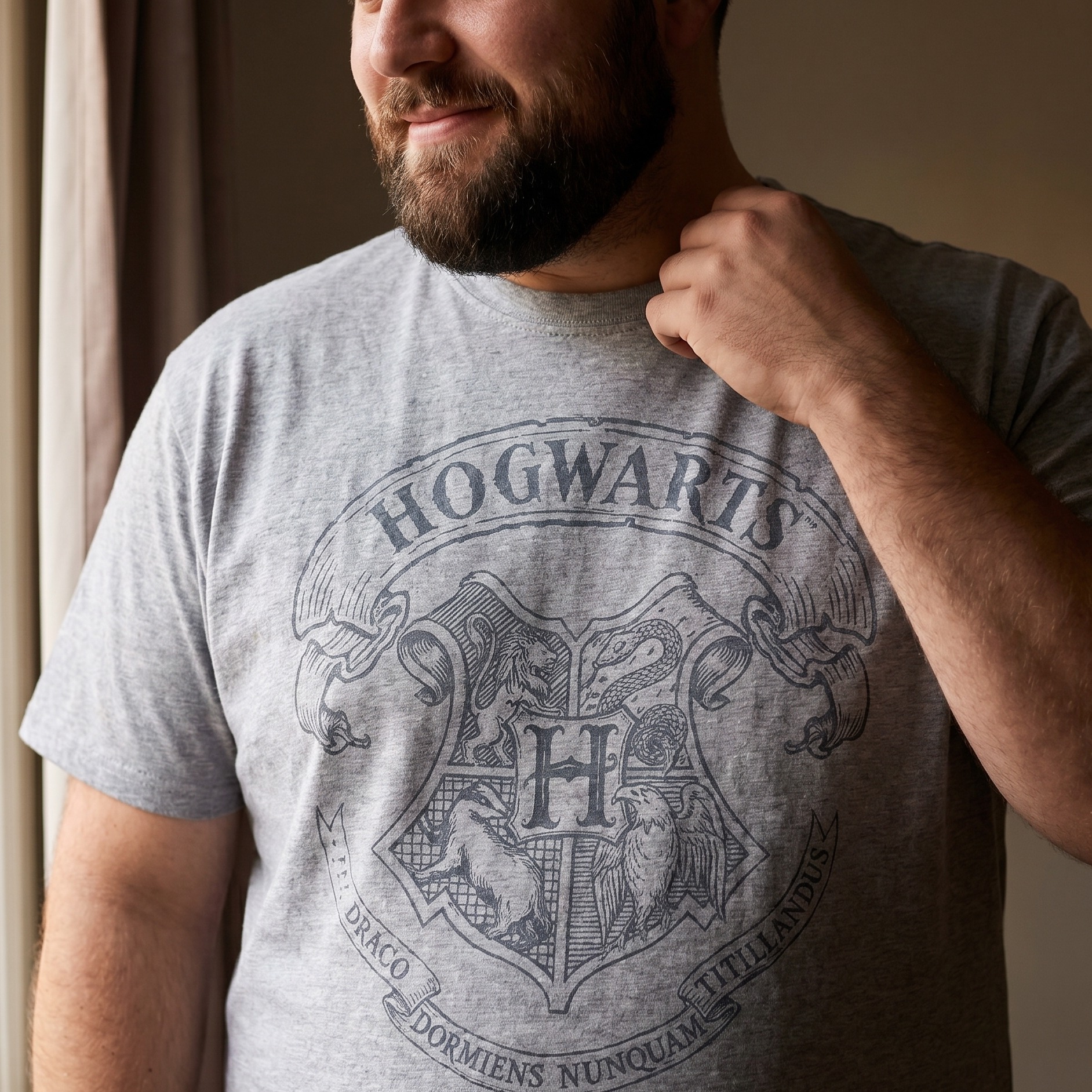 Harry Potter - Logo T-Shirt Grey