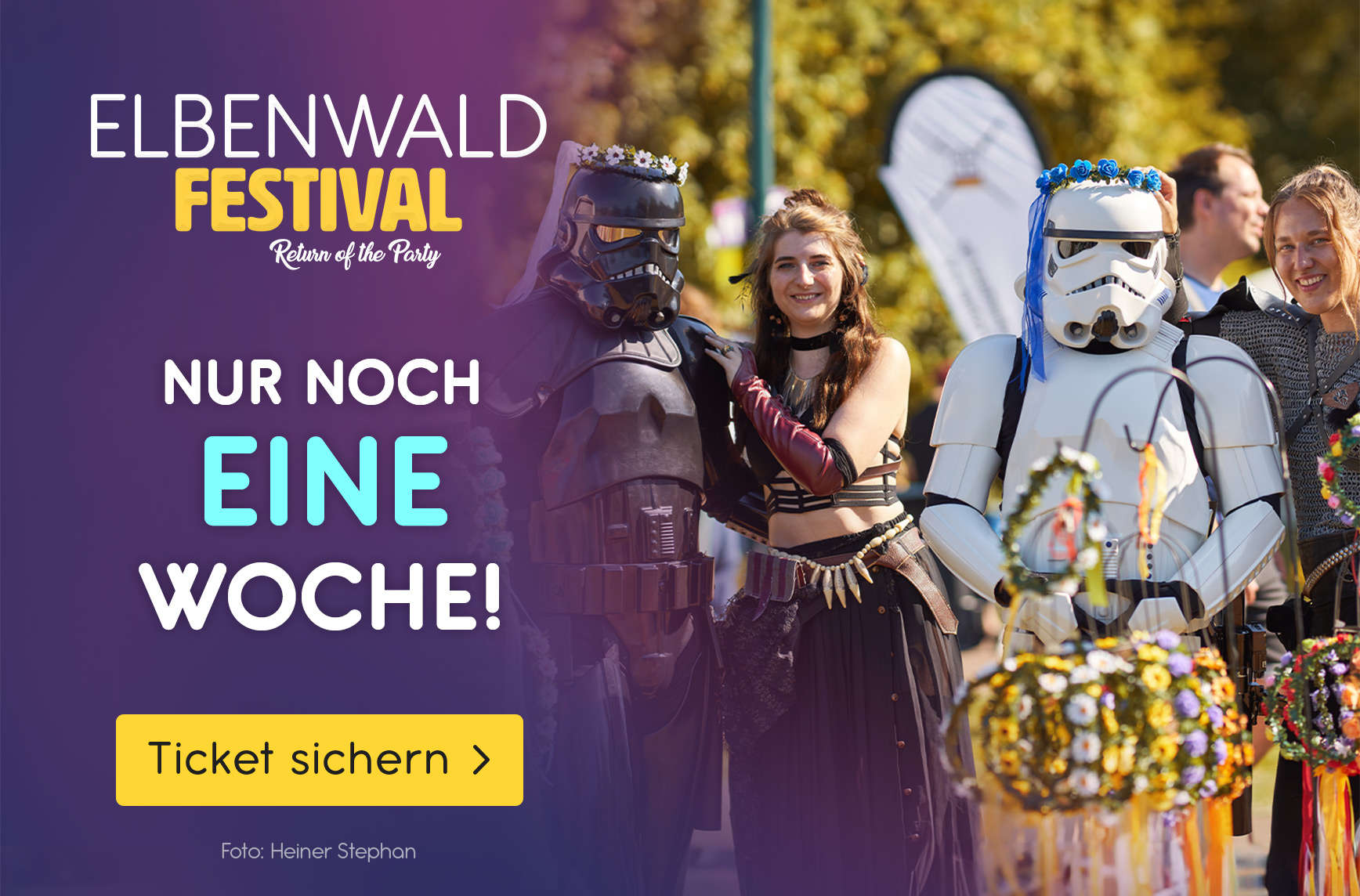Elbenwald Festival 2024 - In einer Woche geht's los!