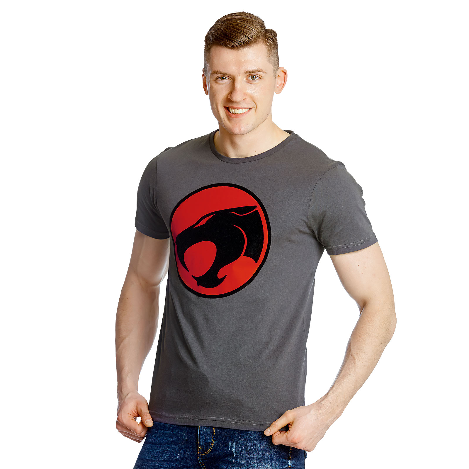 ThunderCats - Logo T-Shirt grau