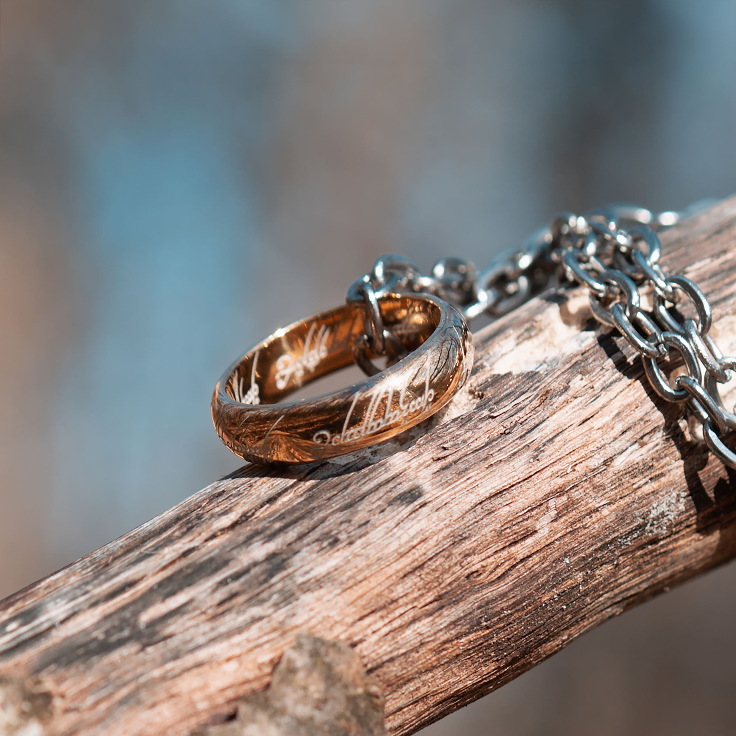 In de Ban van de Ring - De Ene Ring - Het Origineel