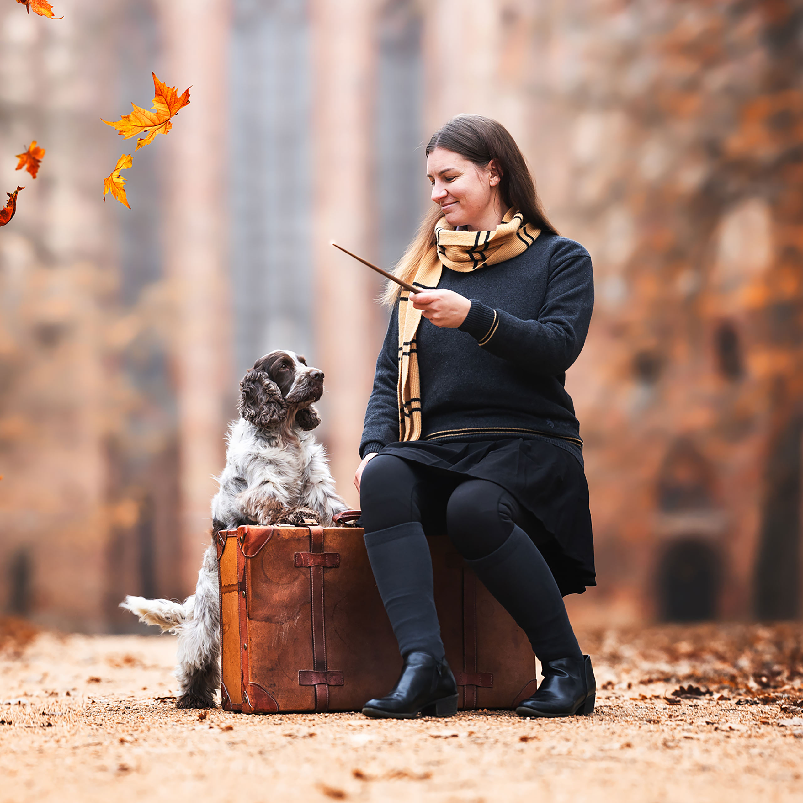 Harry Potter - Original Hufflepuff Wool Scarf