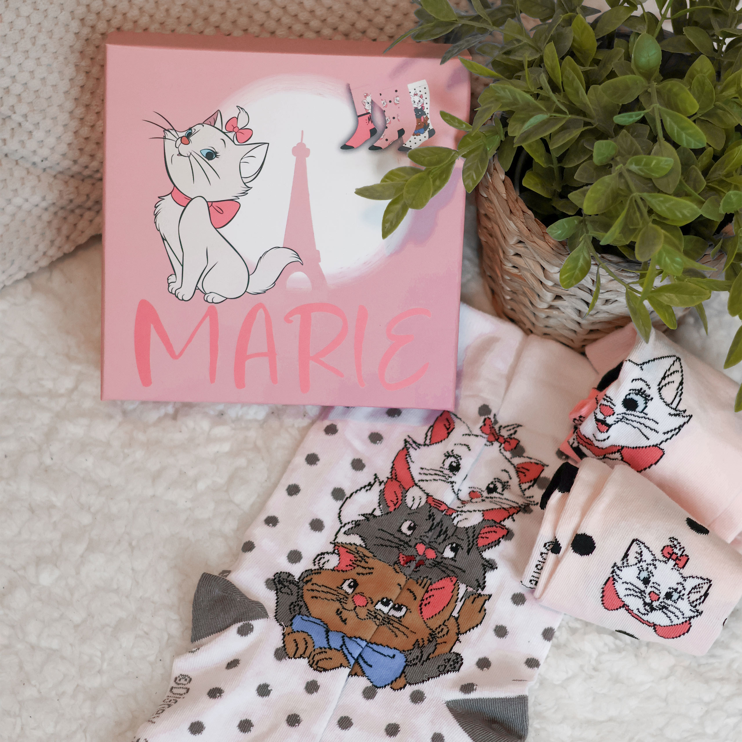 Aristocats - Set di 3 calze Marie