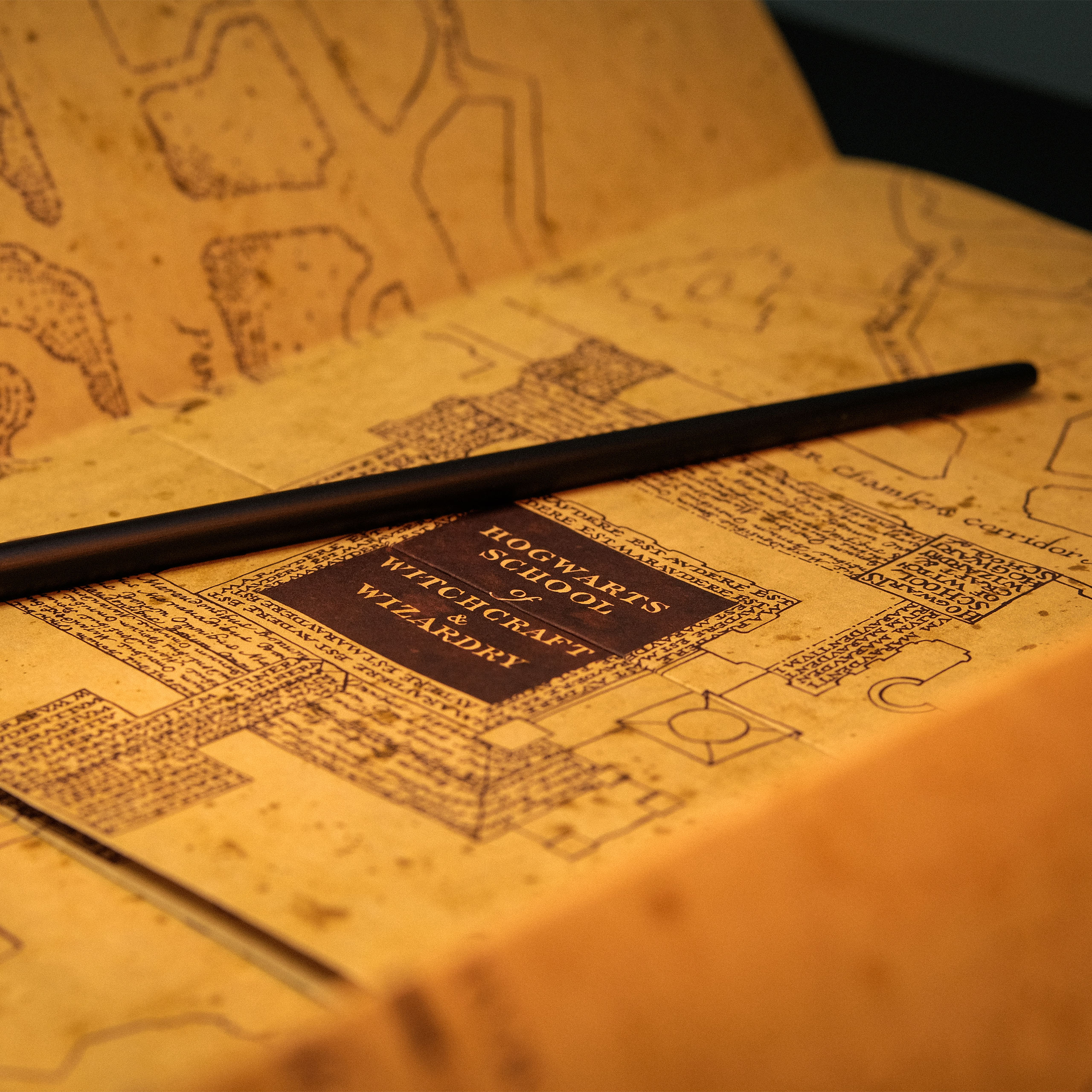 The Marauder's Map including display