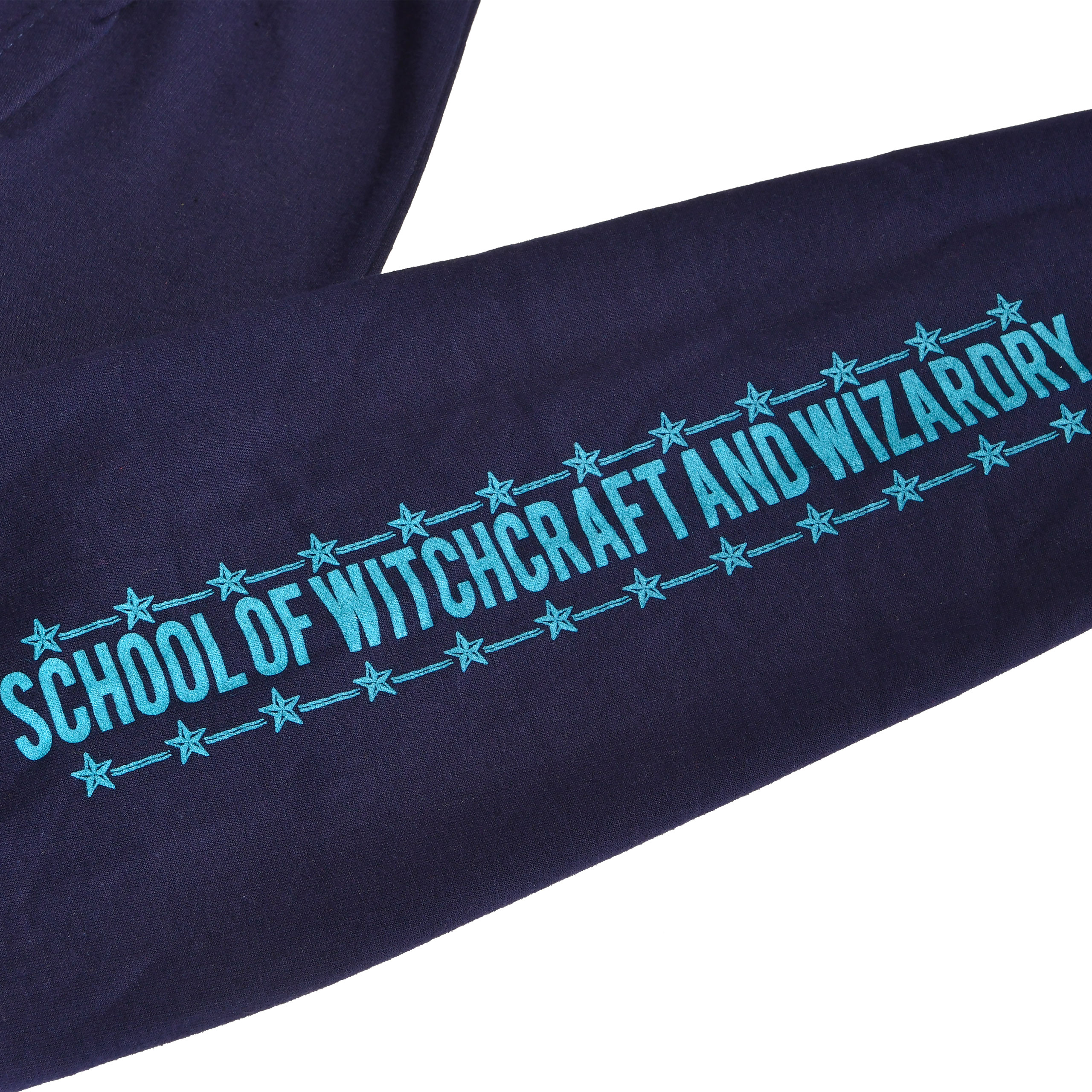 Harry Potter - École de sorcellerie de Hogwarts sweat à capuche bleu