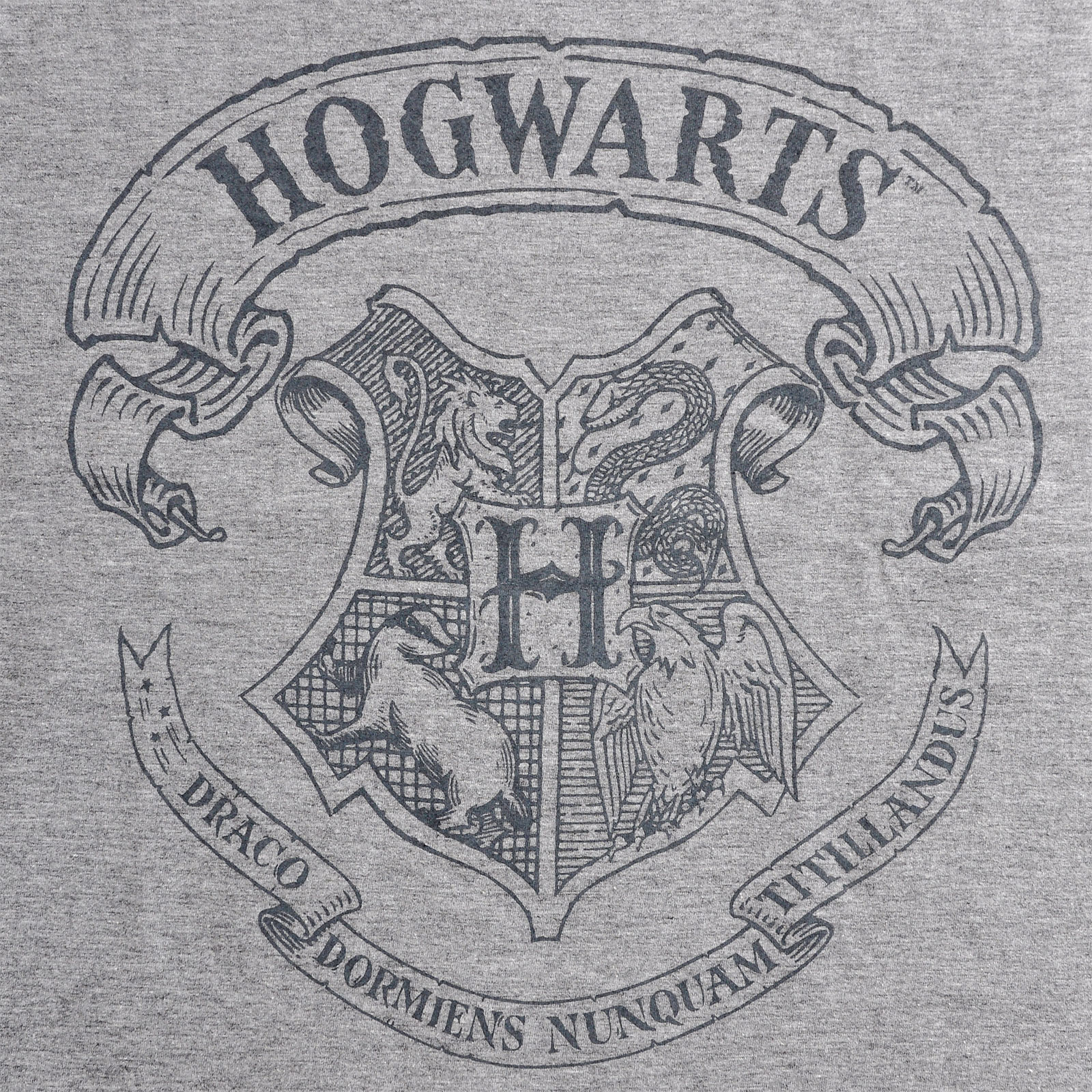 Harry Potter - Logo T-Shirt Grey