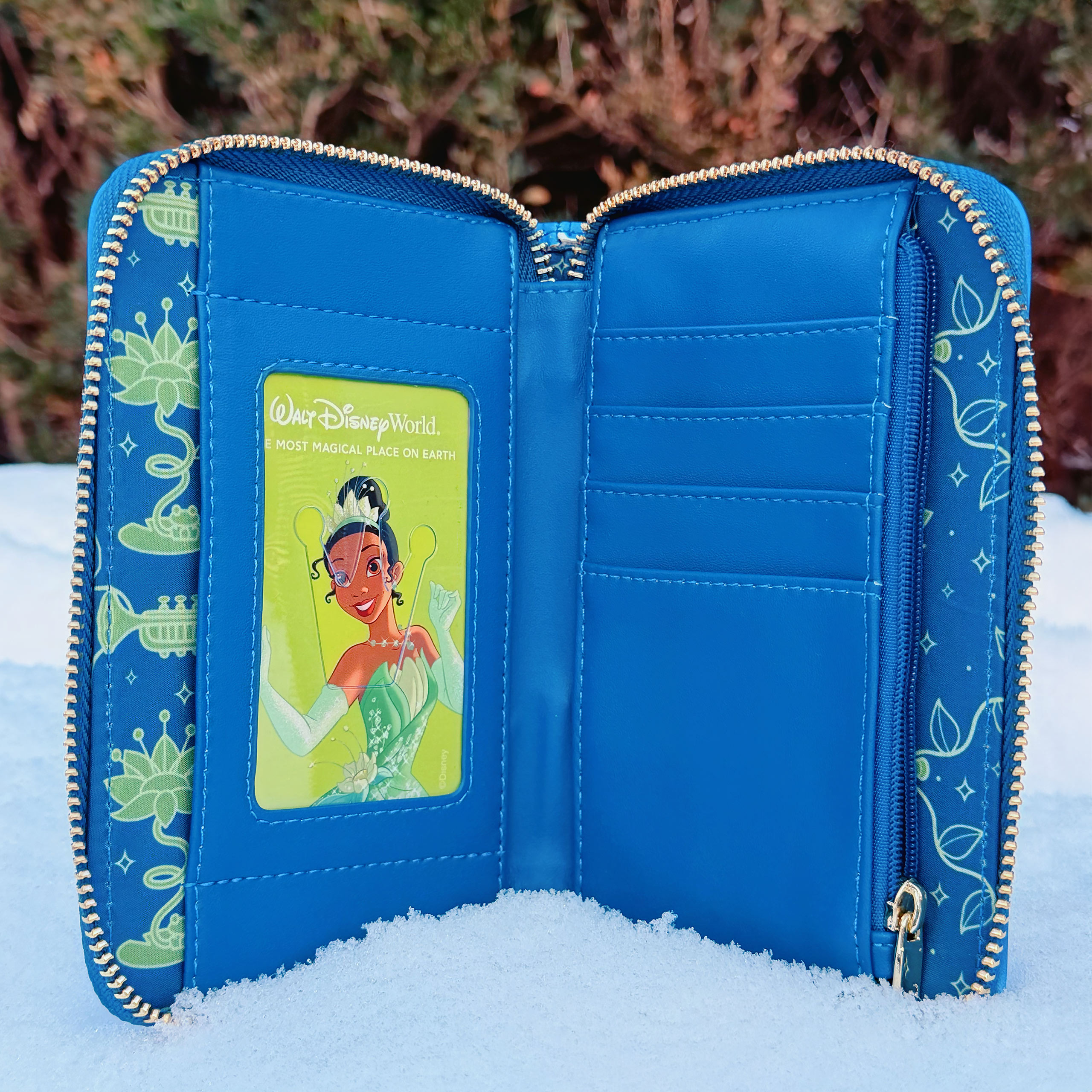 Kiss the Frog - Tiana Glow in the Dark Wallet