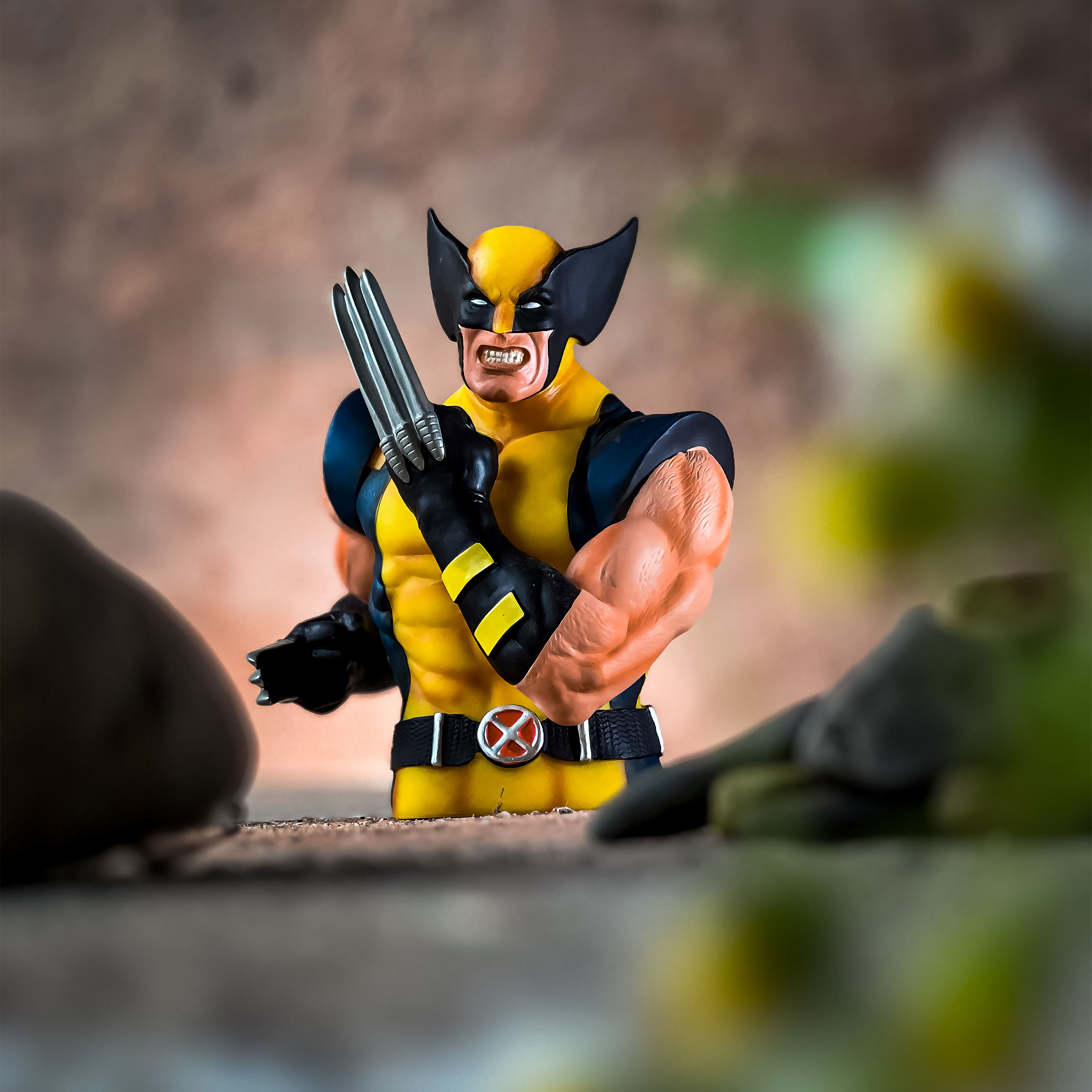 Salvadanaio Wolverine