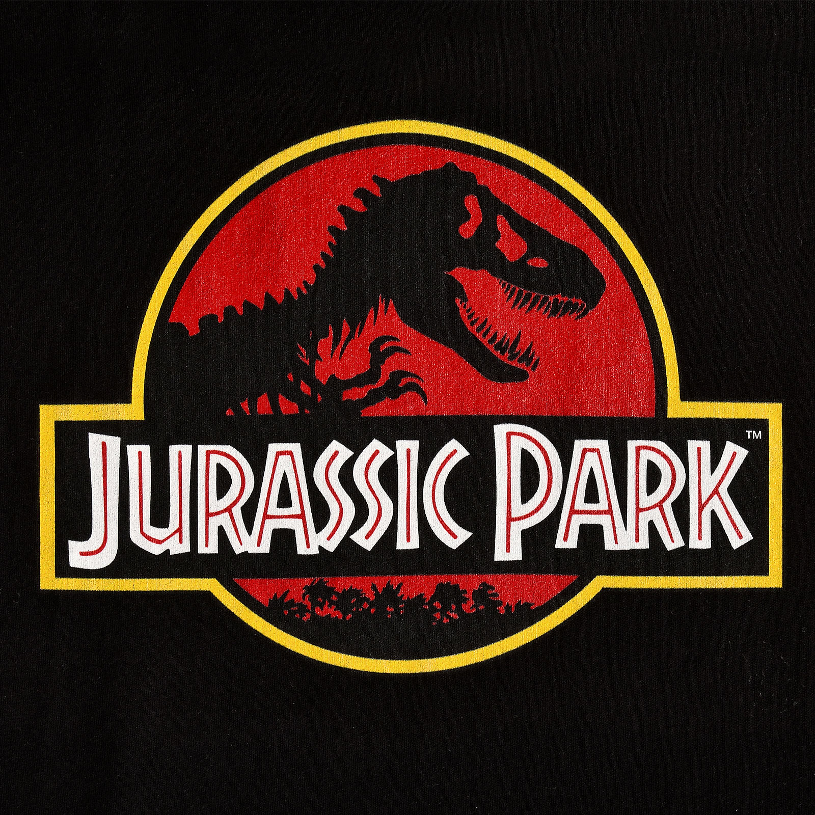 Jurassic Park - T-shirt logo femme noir