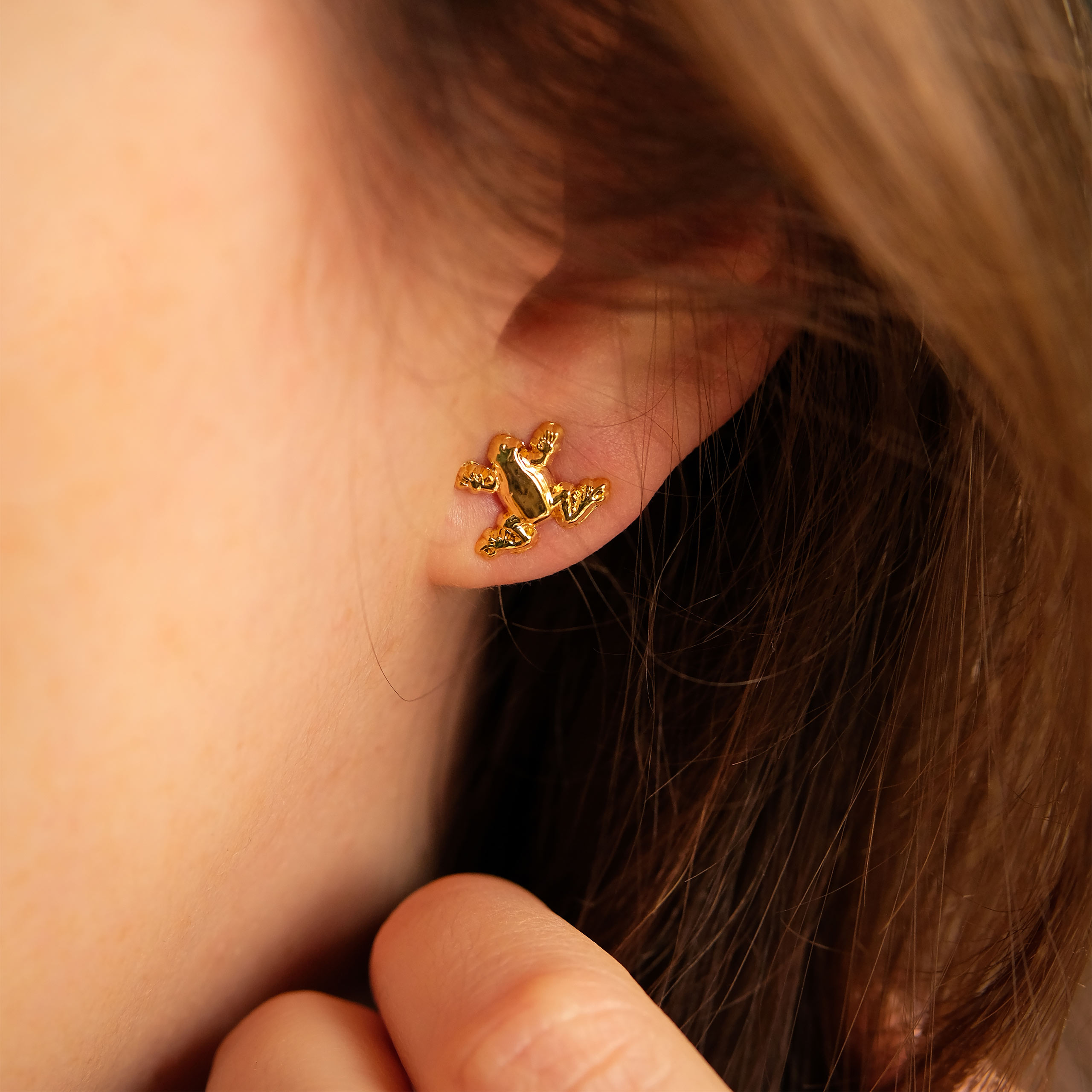 Harry Potter - Chocolate Frog Earrings