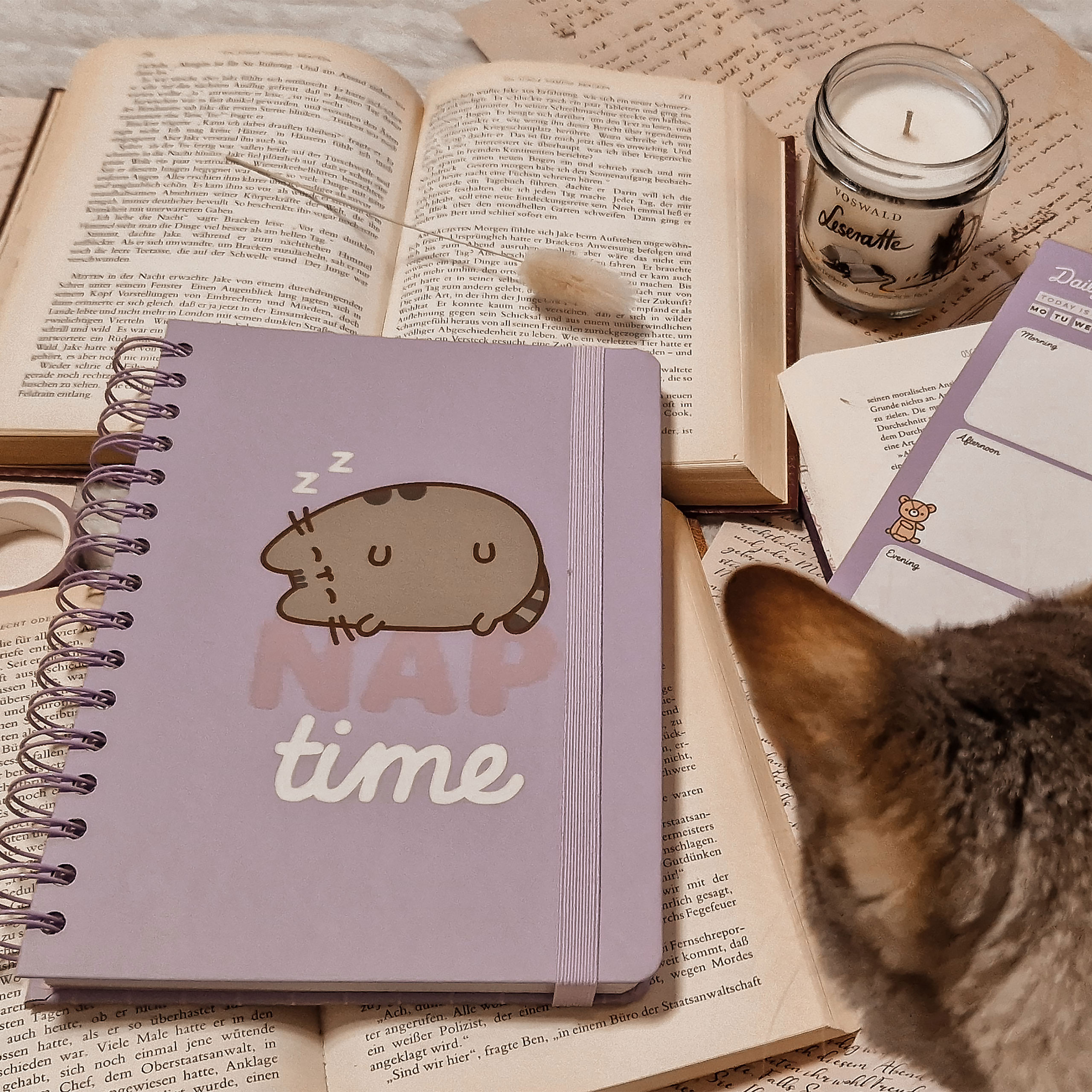 Pusheen - Nap Time Notitieboek