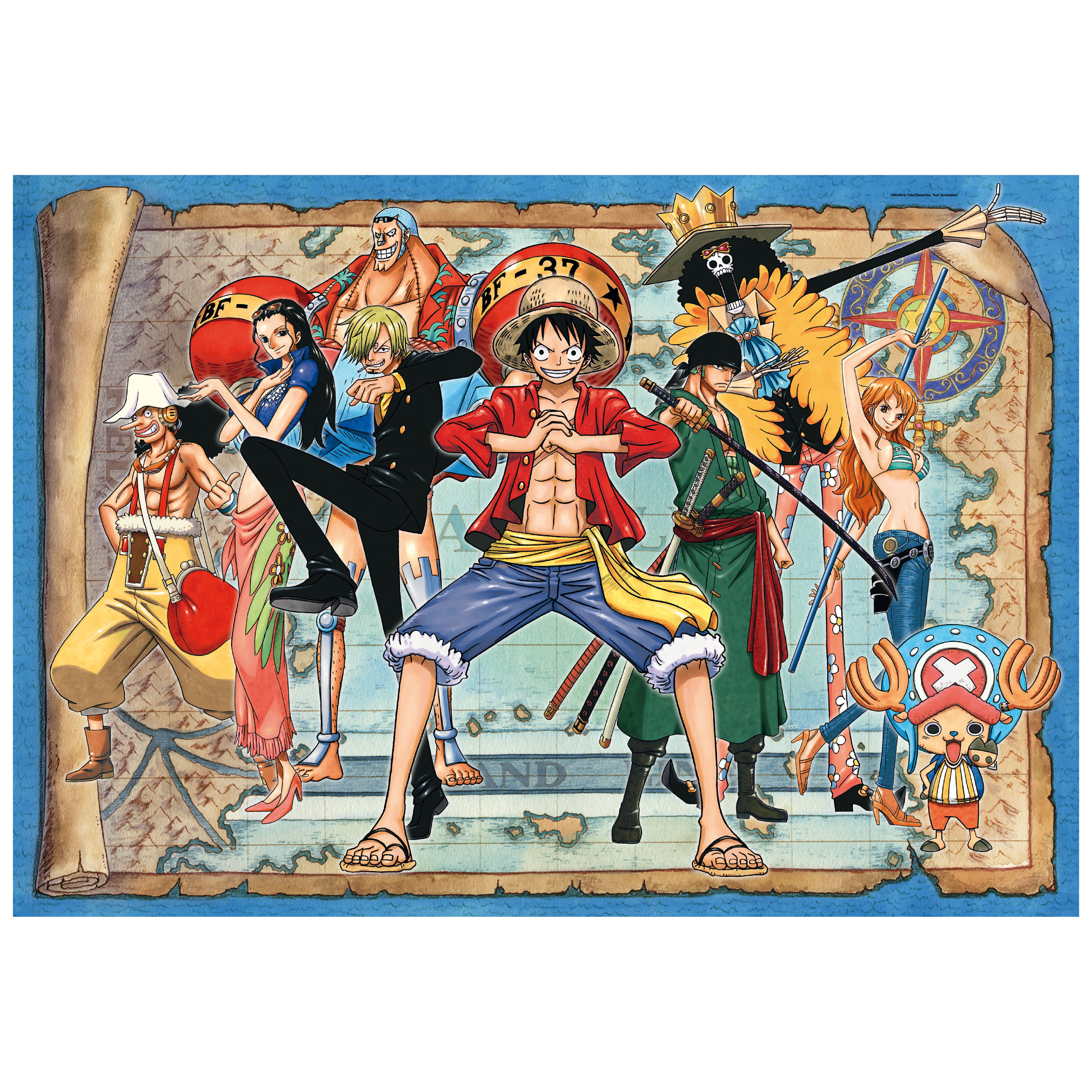 One Piece - Crew New World Puzzel