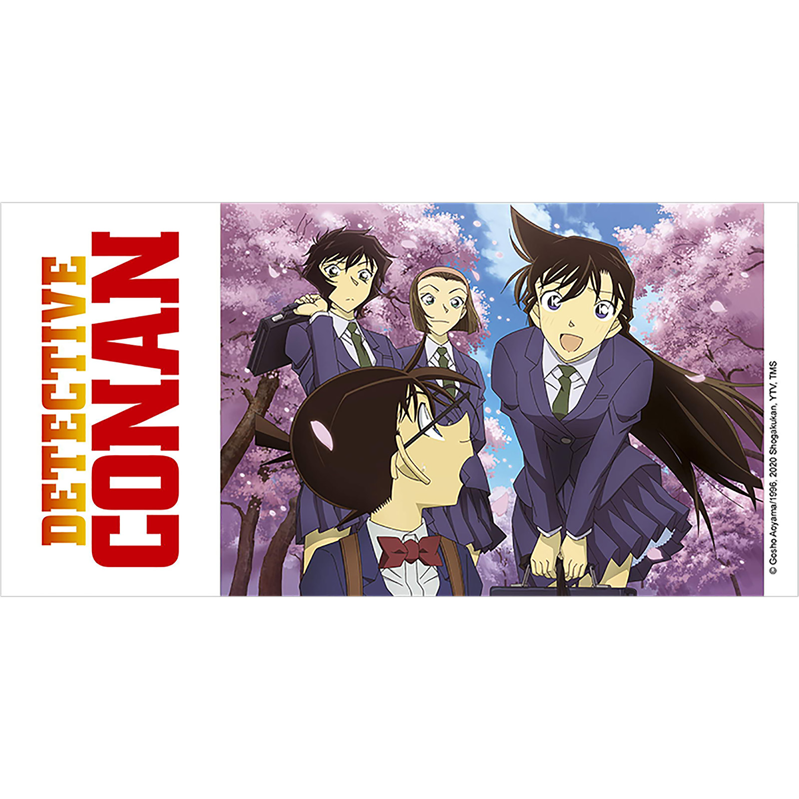 Detective Conan - Ran & Conan Mok