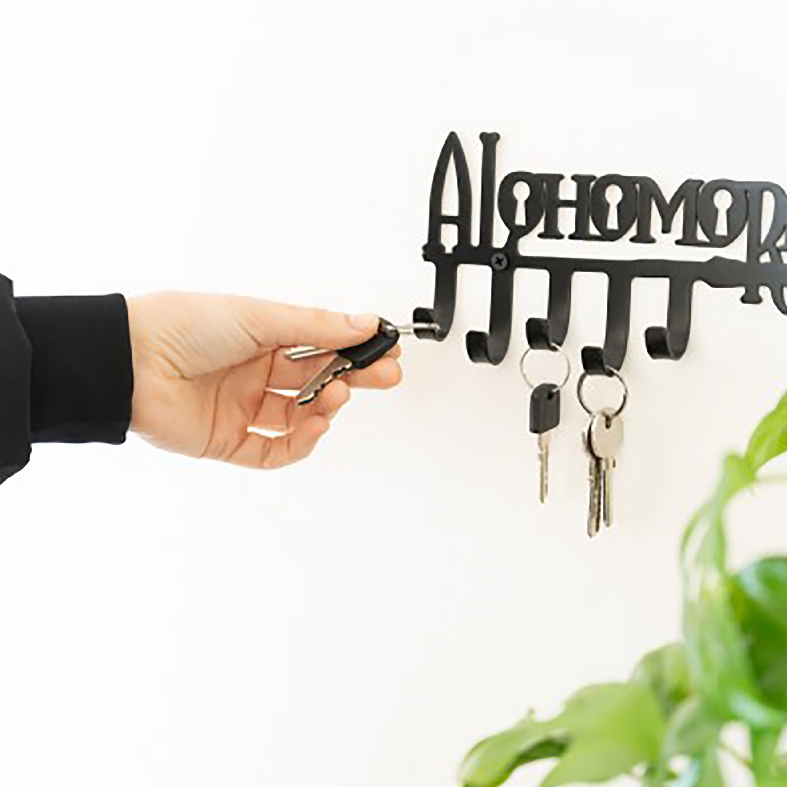 Harry Potter - Alohomora Key Holder